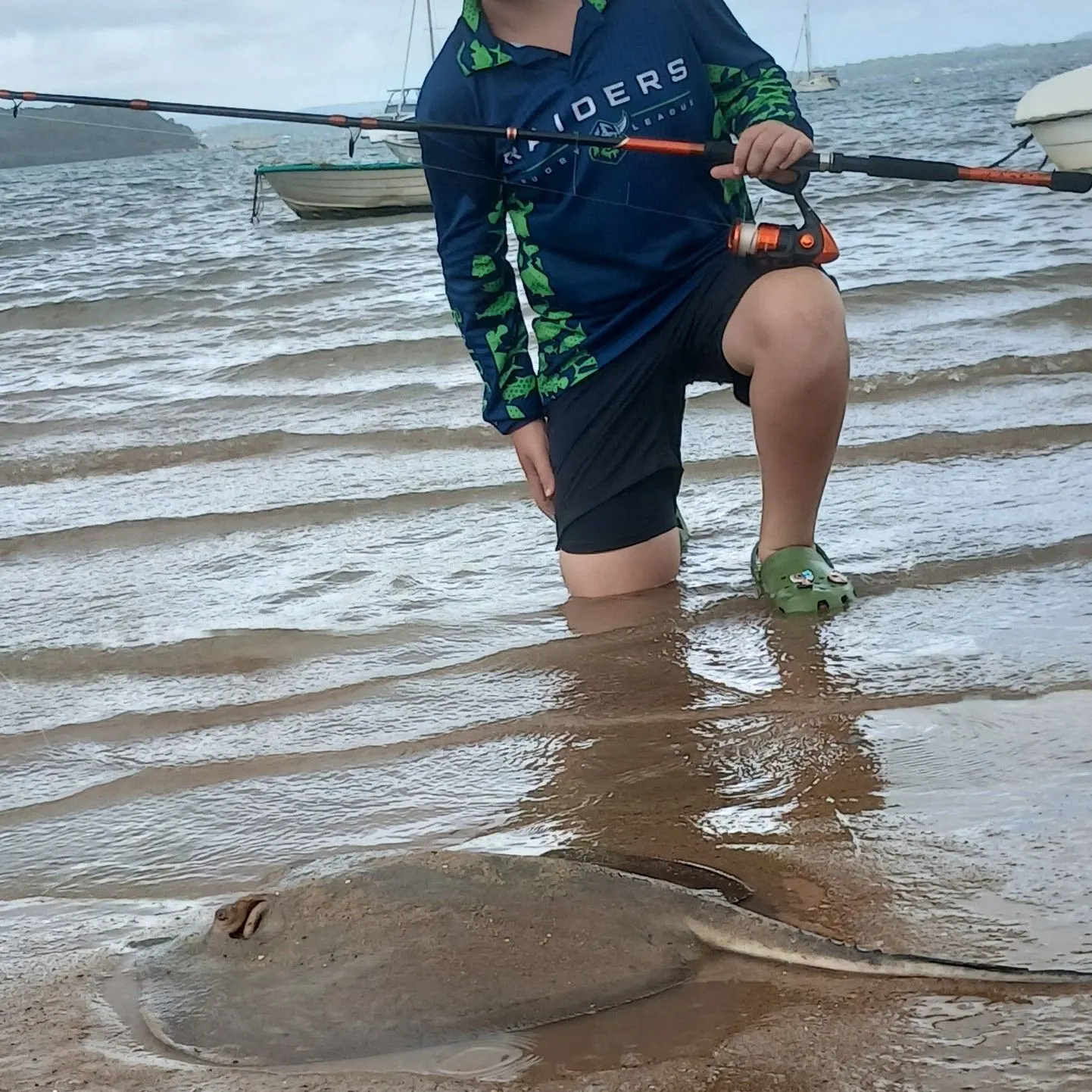 The most recent Blotched fantail ray catches on Fishbrain