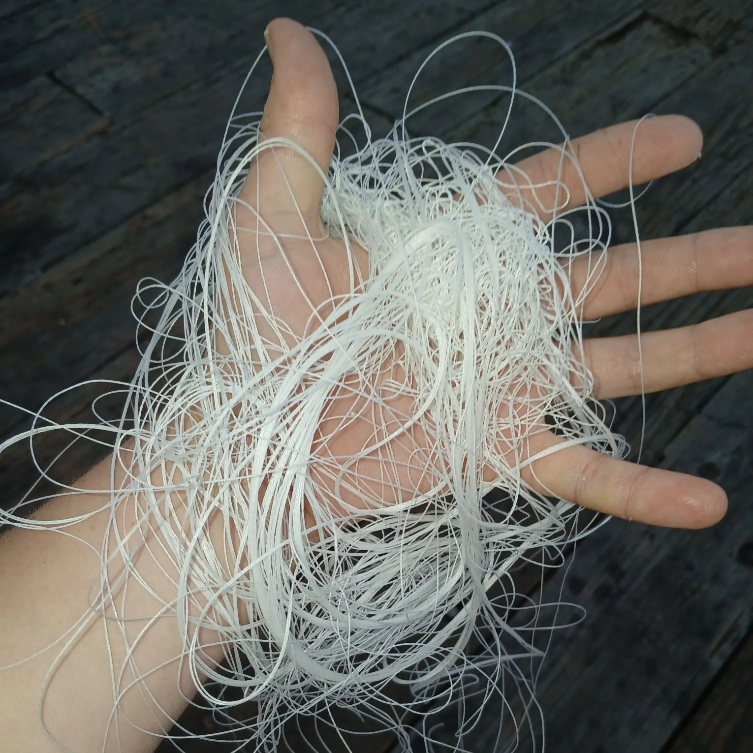 The most recent Pacific staghorn sculpin catches on Fishbrain