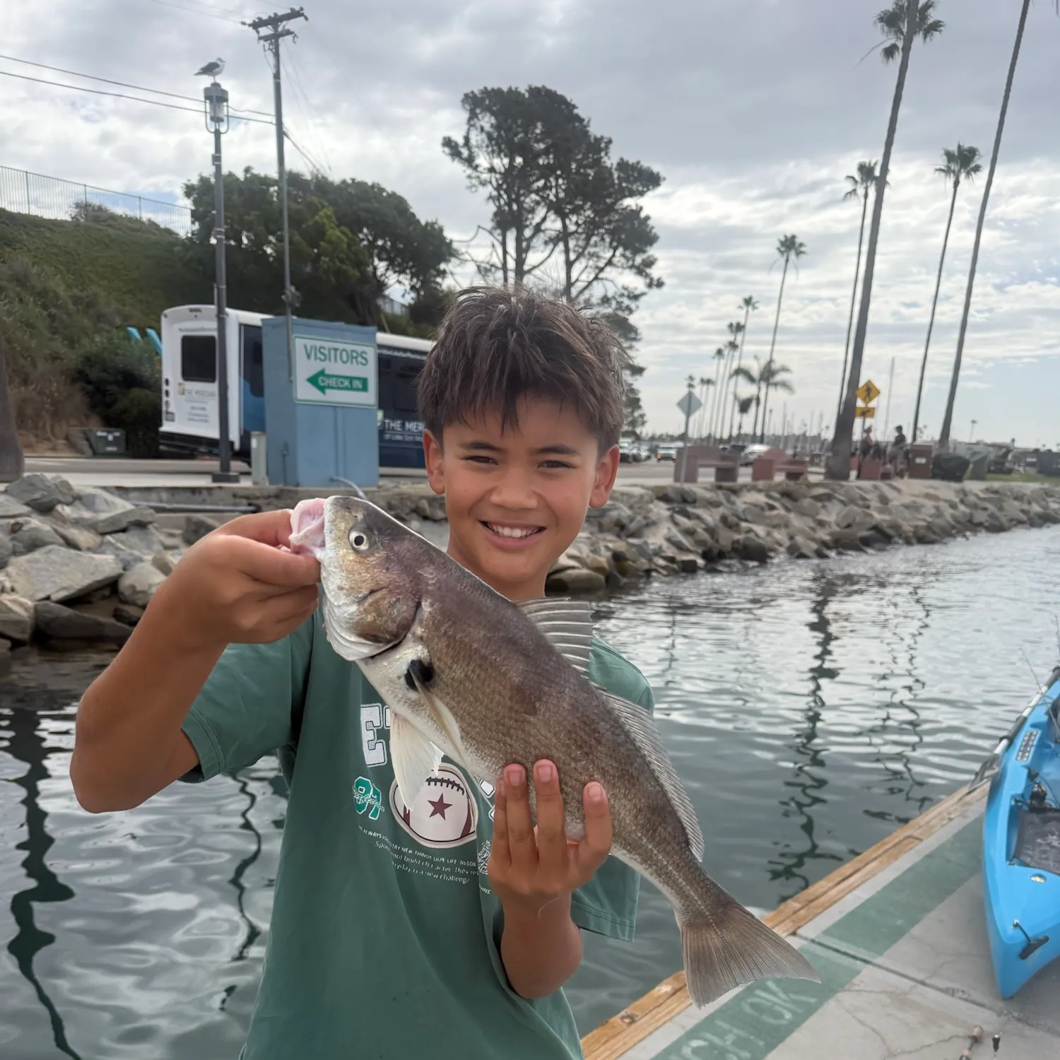 The most recent Spotfin croaker catches on Fishbrain