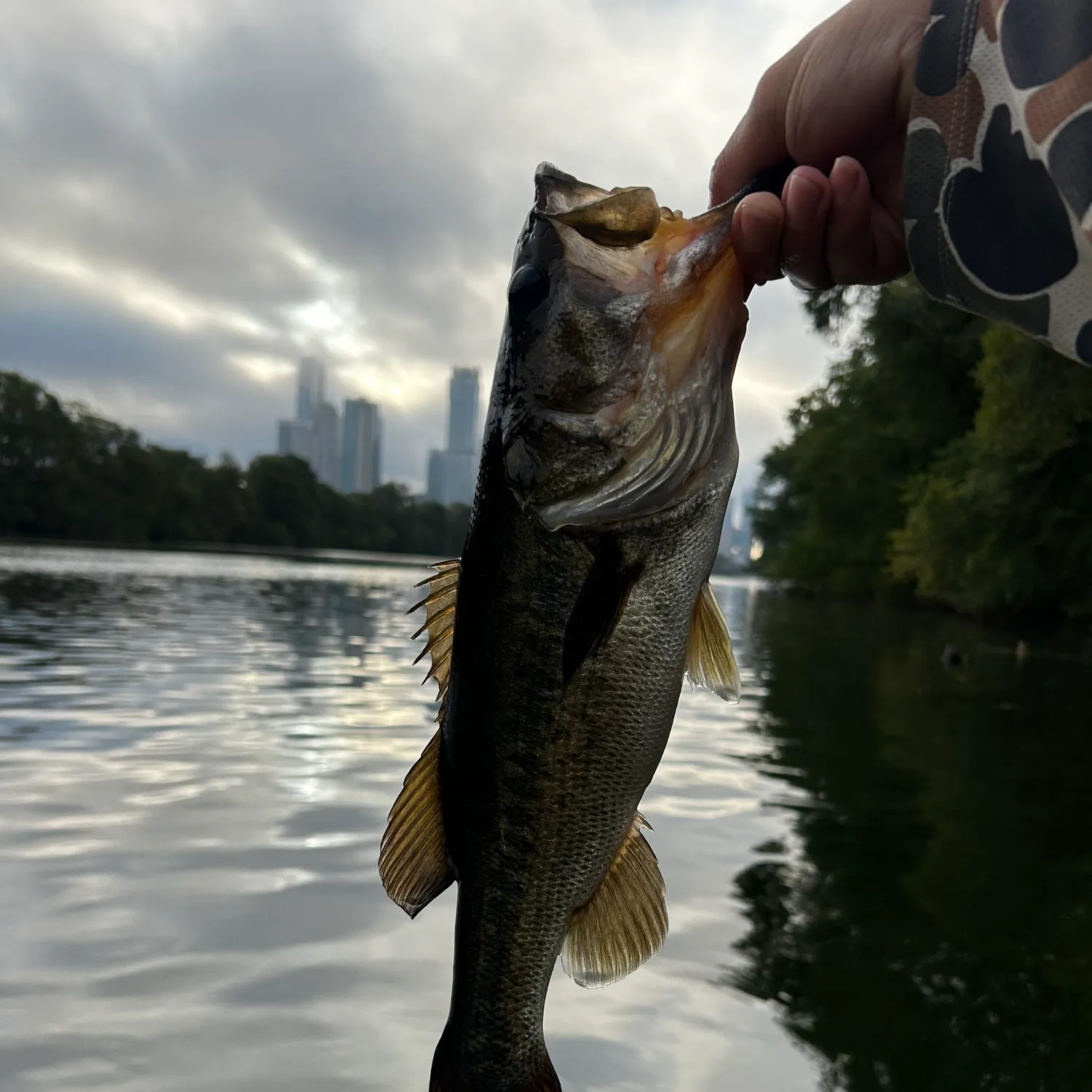 catch