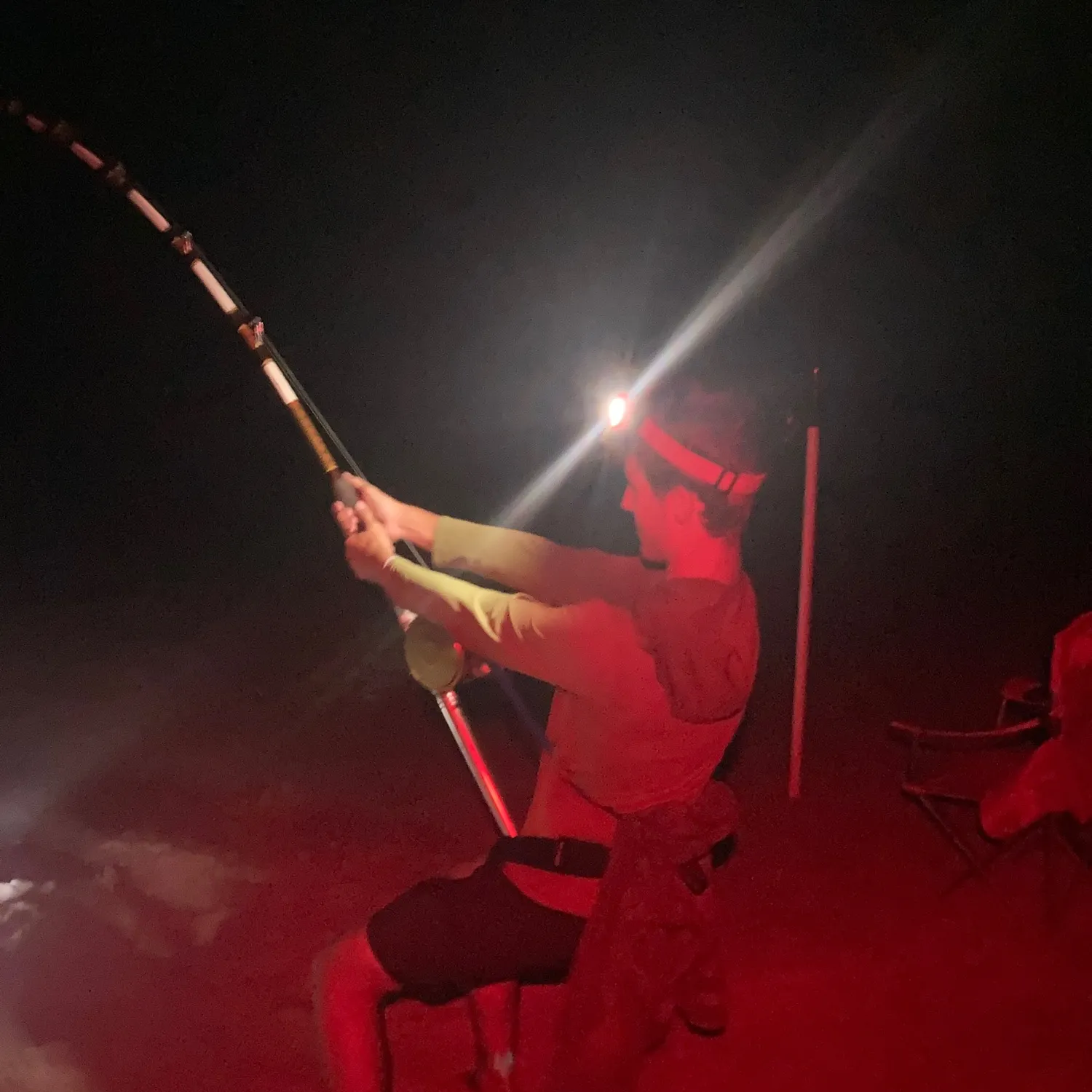 The most recent Great hammerhead shark catches on Fishbrain