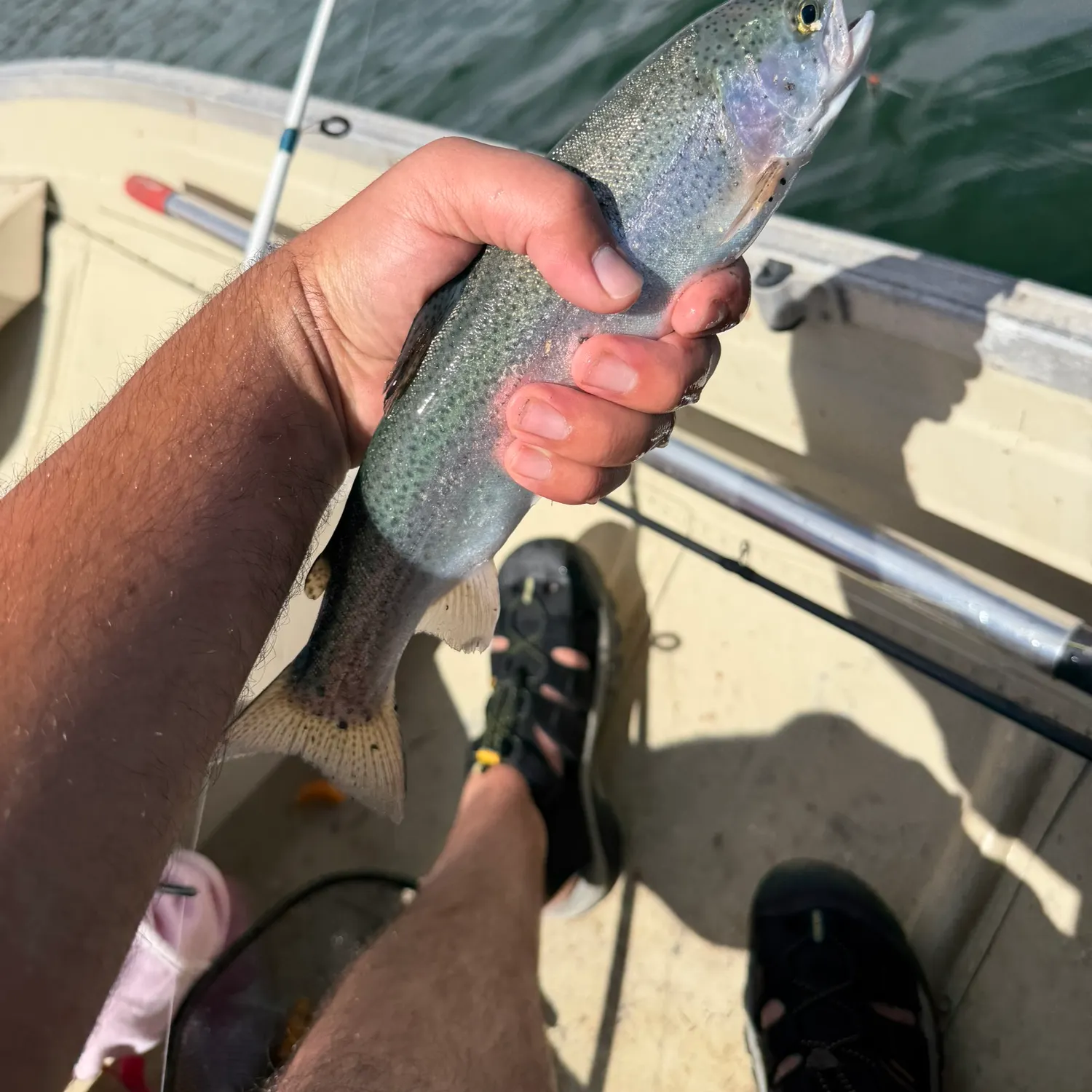 Fish caught on Fishbrain