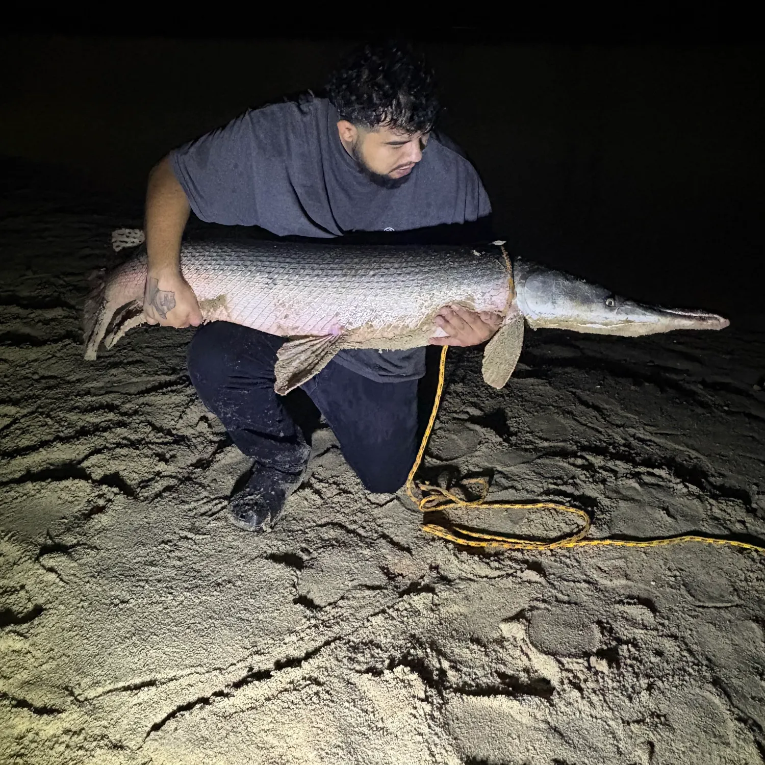The most recent Alligator gar catches on Fishbrain