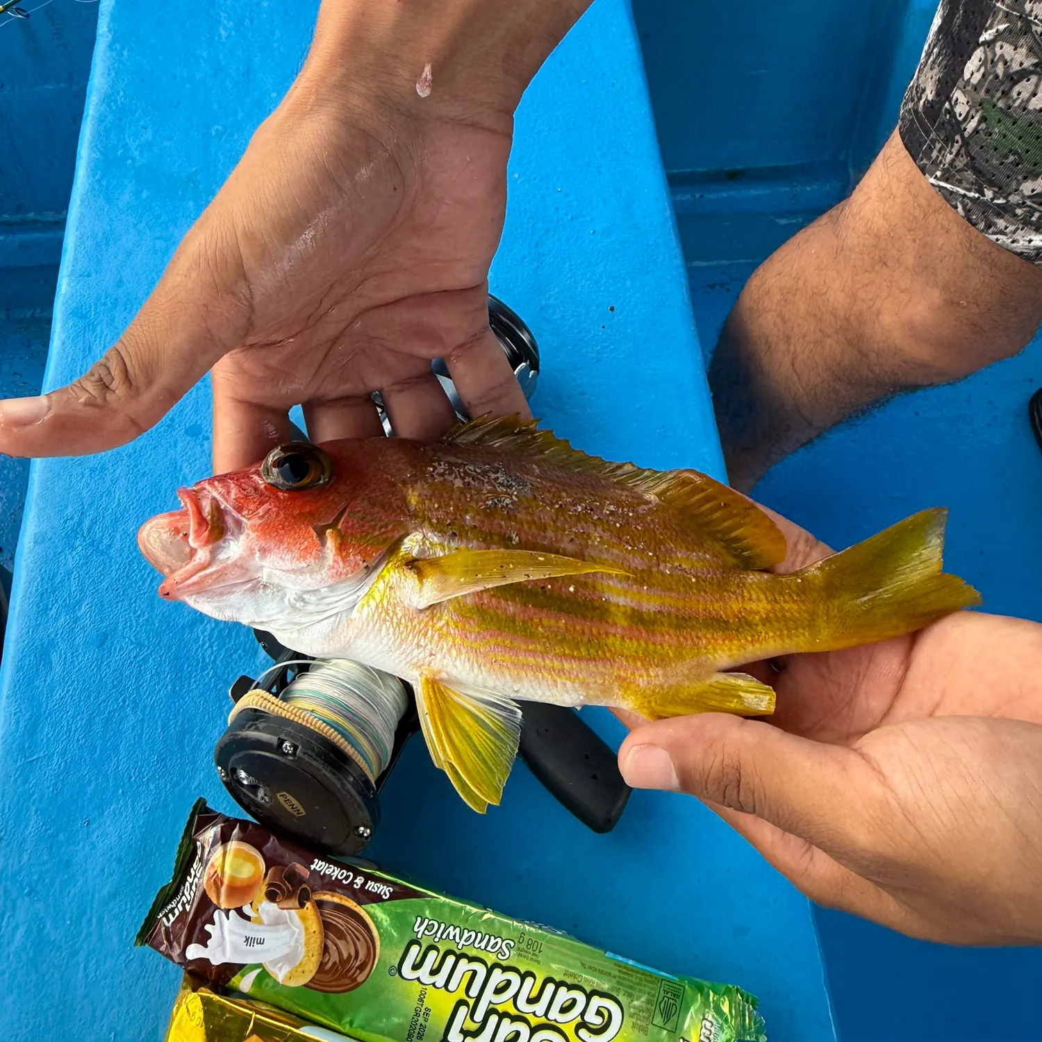 recently logged catches