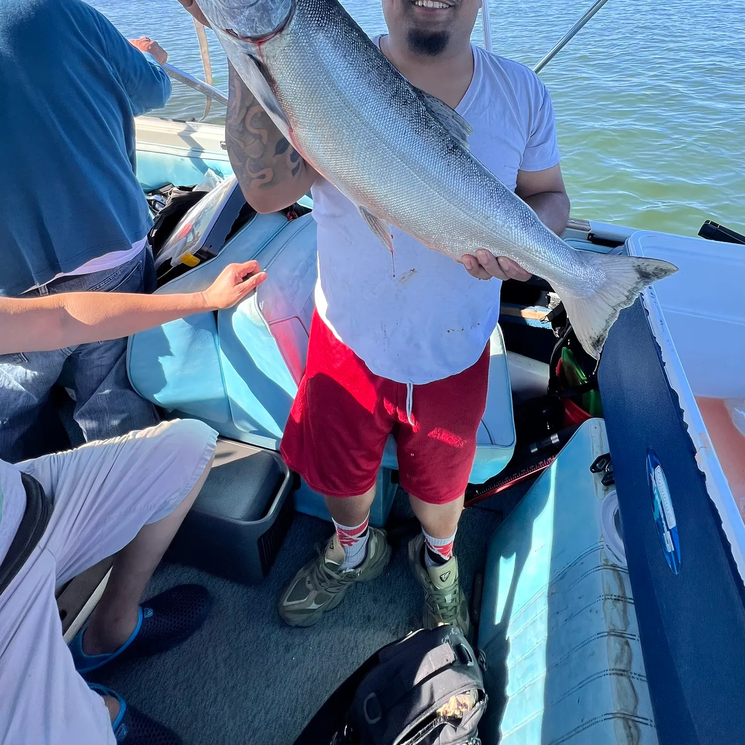 Chinook salmon caught on Fishbrain