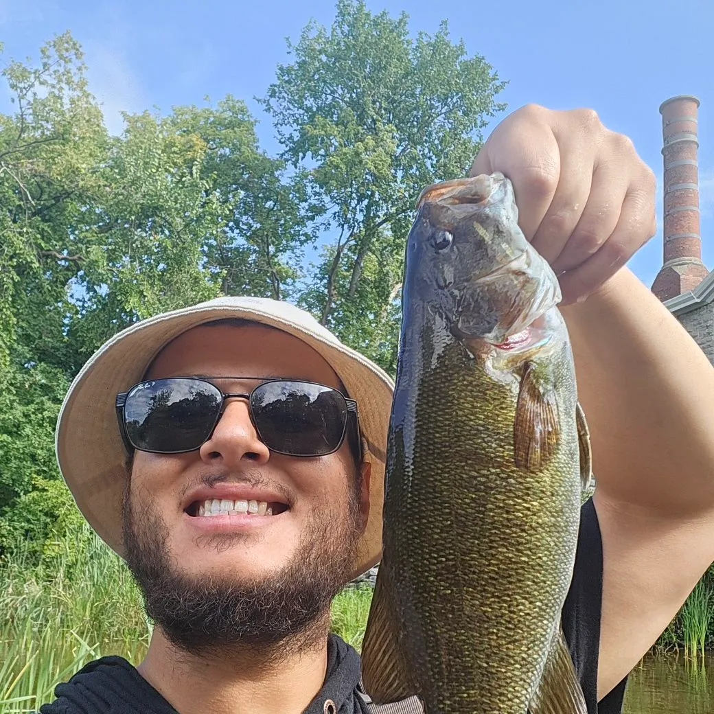 Smallmouth bass caught on Fishbrain