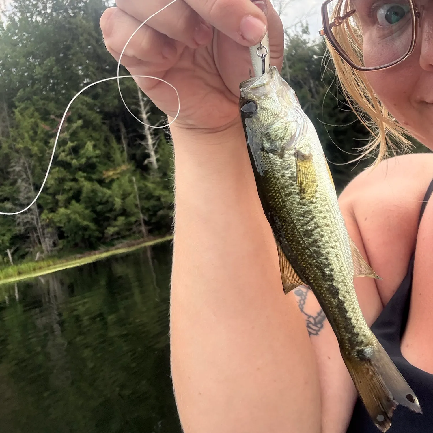 Largemouth bass caught on Fishbrain