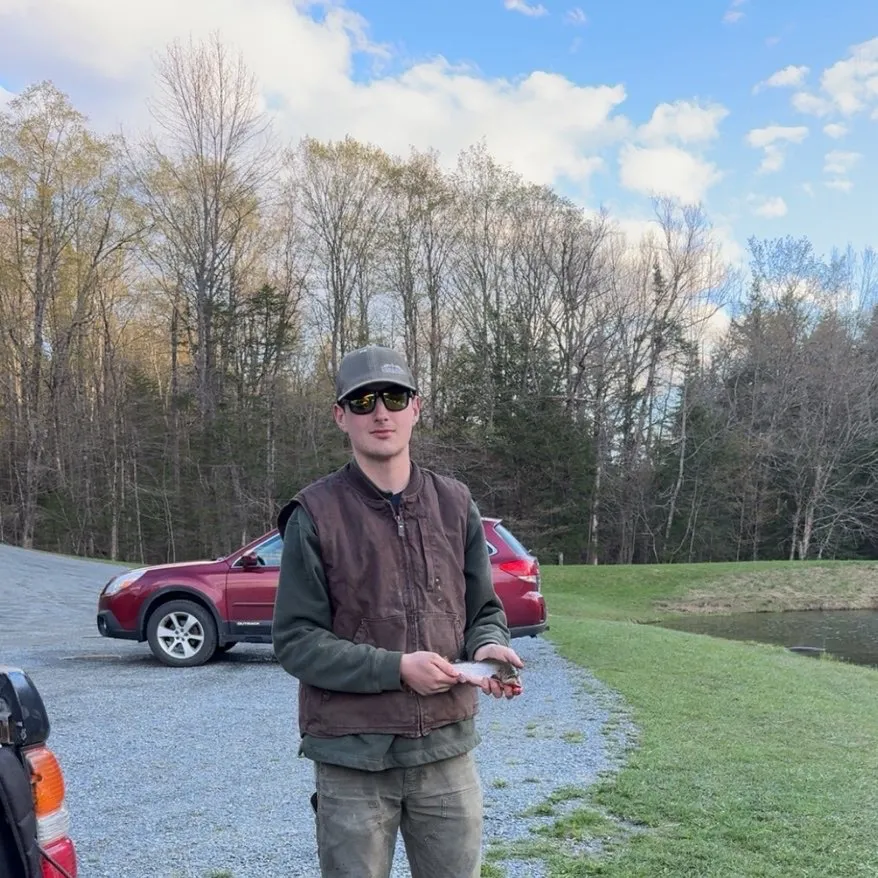 The most recent Brook trout catches on Fishbrain