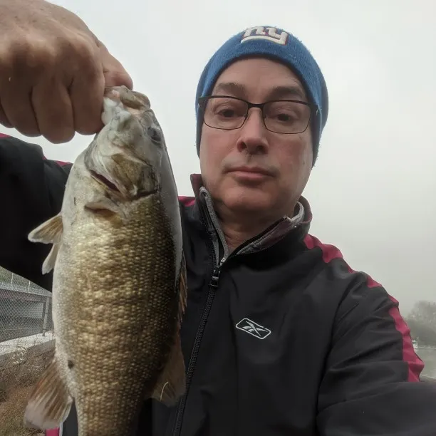 angler catch