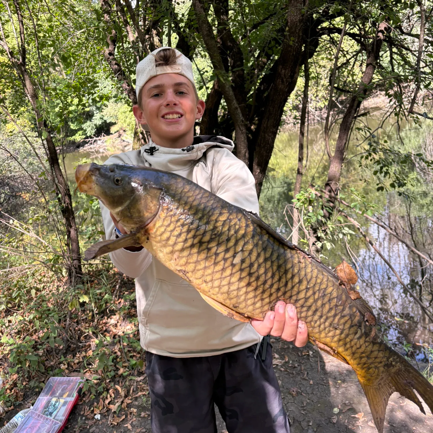 Common carp caught on Fishbrain
