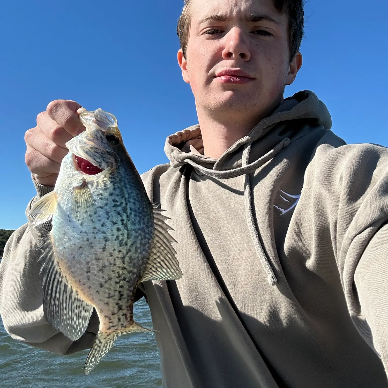 Black crappie caught on Fishbrain
