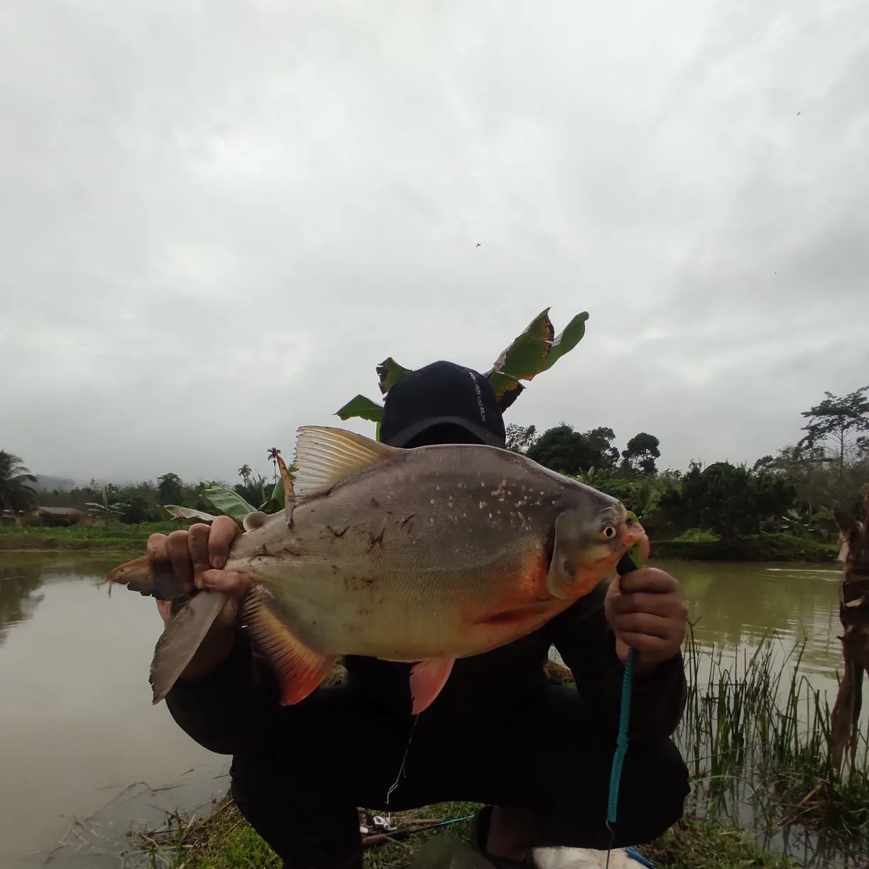 most liked catch image
