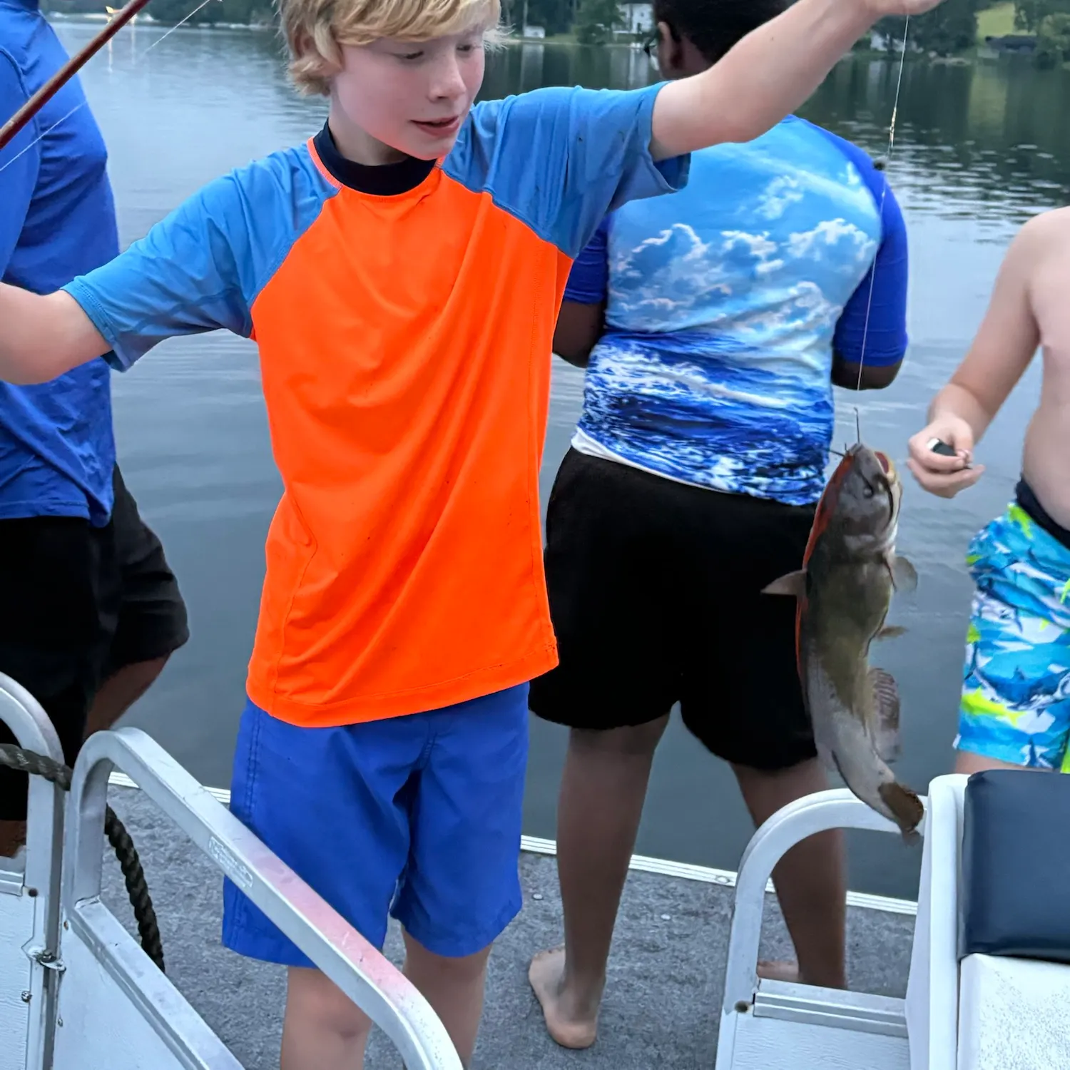 Brown bullhead caught on Fishbrain