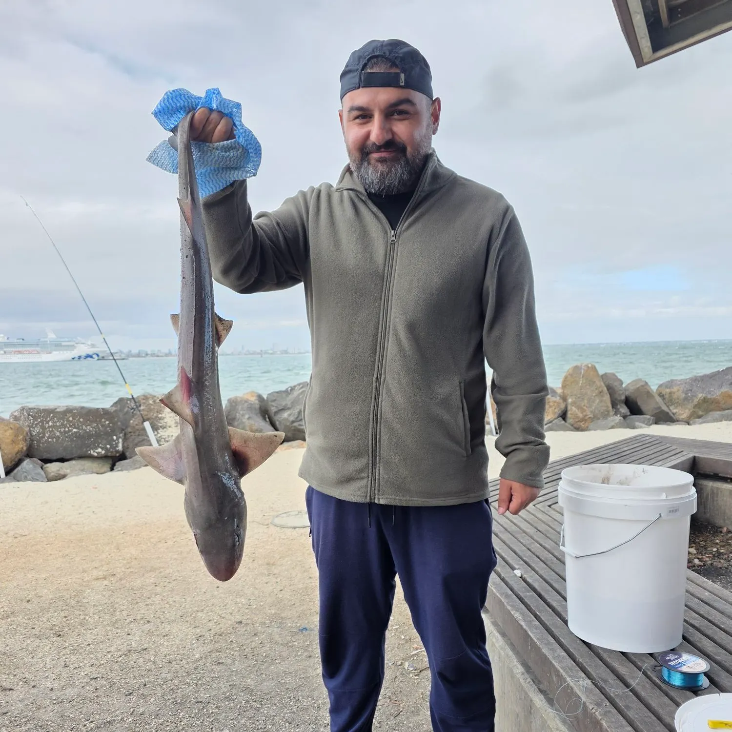 The most recent Gummy shark catches on Fishbrain