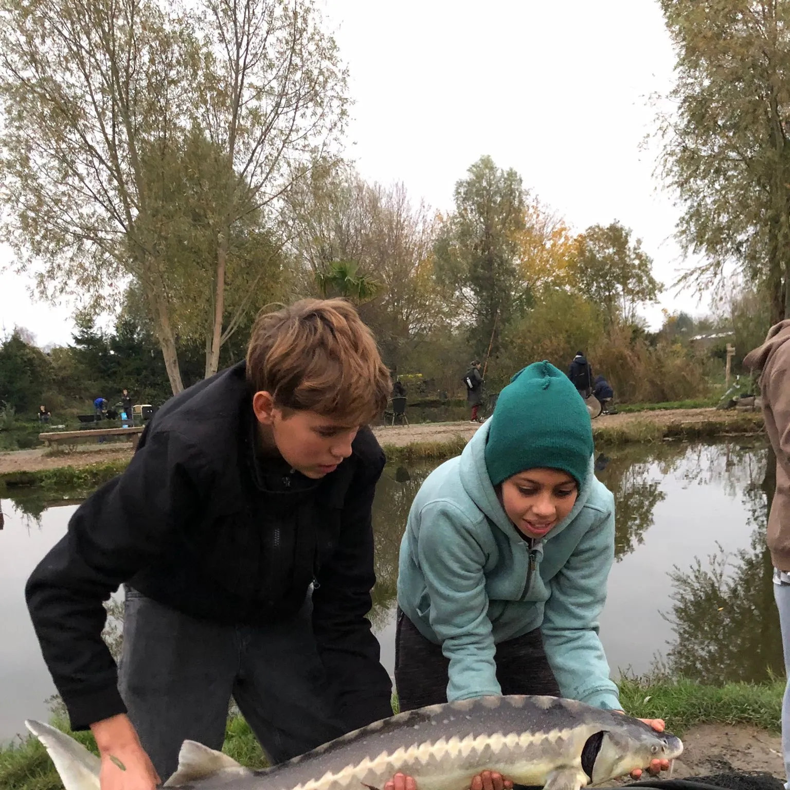 The most recent Atlantic sturgeon catches on Fishbrain