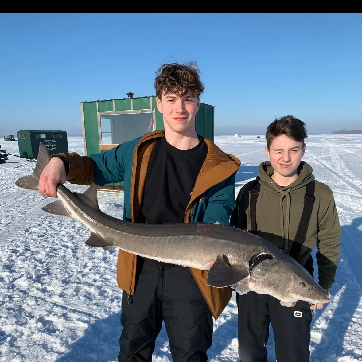The most recent Lake sturgeon catches on Fishbrain