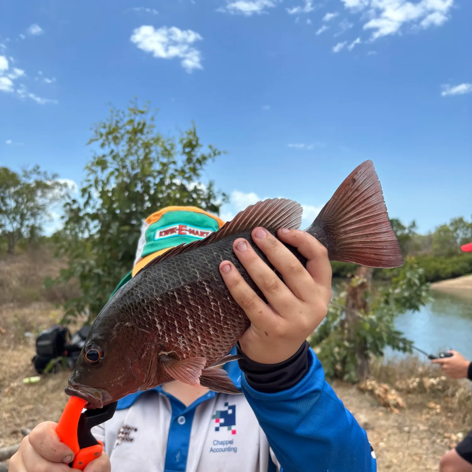 Mangrove red snapper caught on Fishbrain