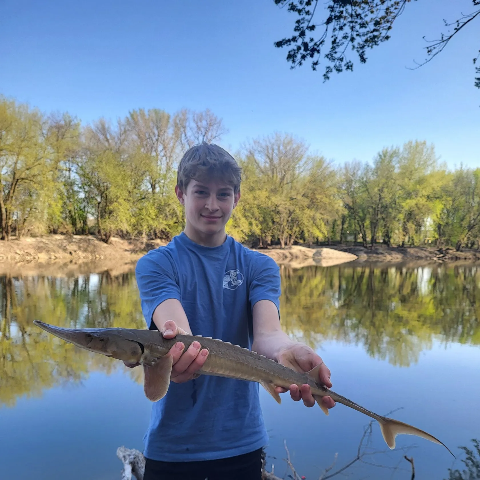 most liked catch image