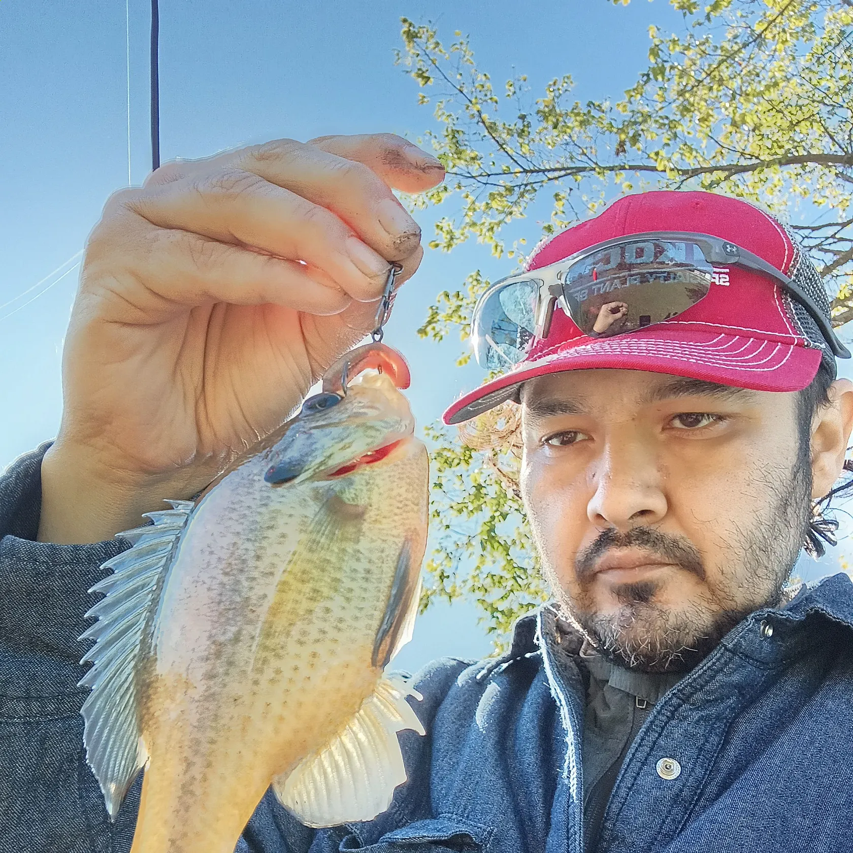 Bluegill caught on Fishbrain