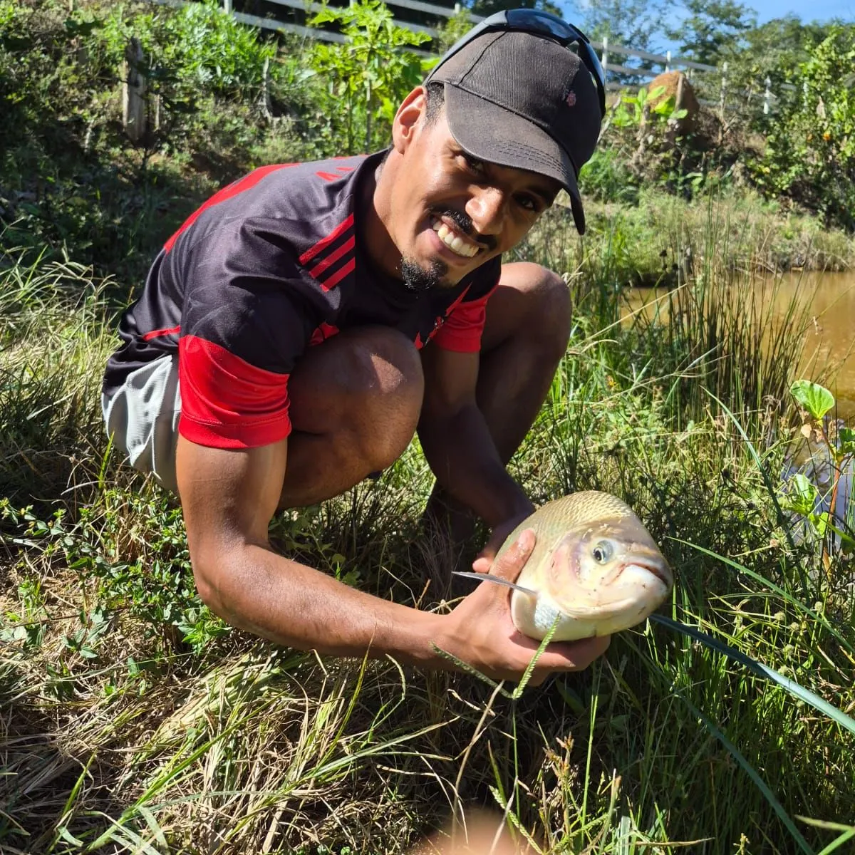 The most recent Dorada catches on Fishbrain