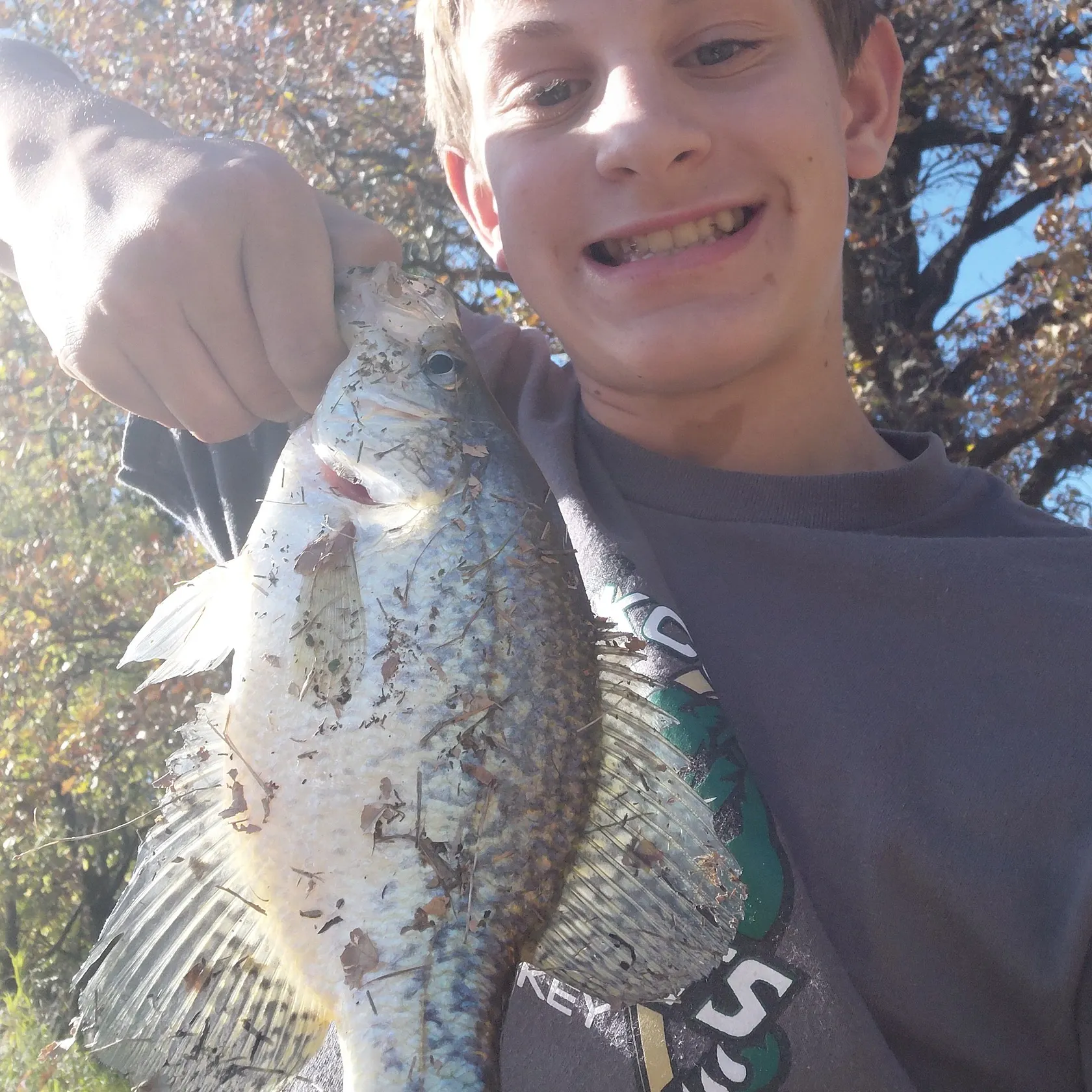 Black crappie caught on Fishbrain