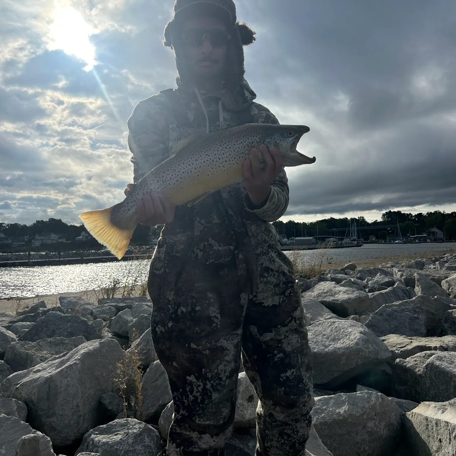 Sea trout caught on Fishbrain
