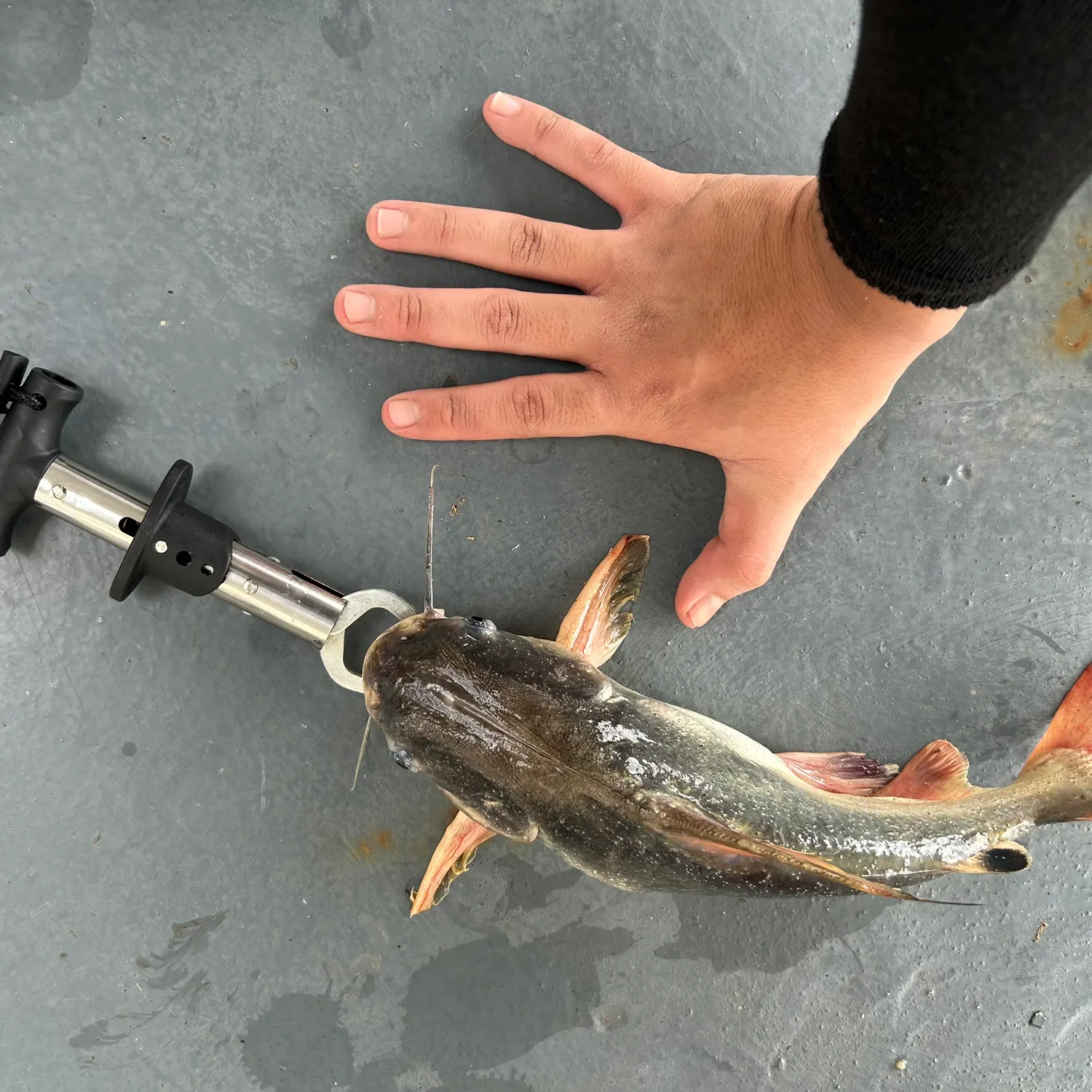 catch