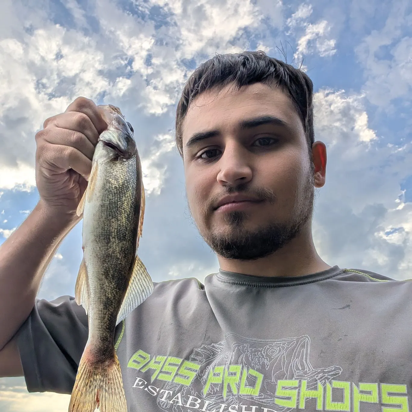 Saugeye caught on Fishbrain