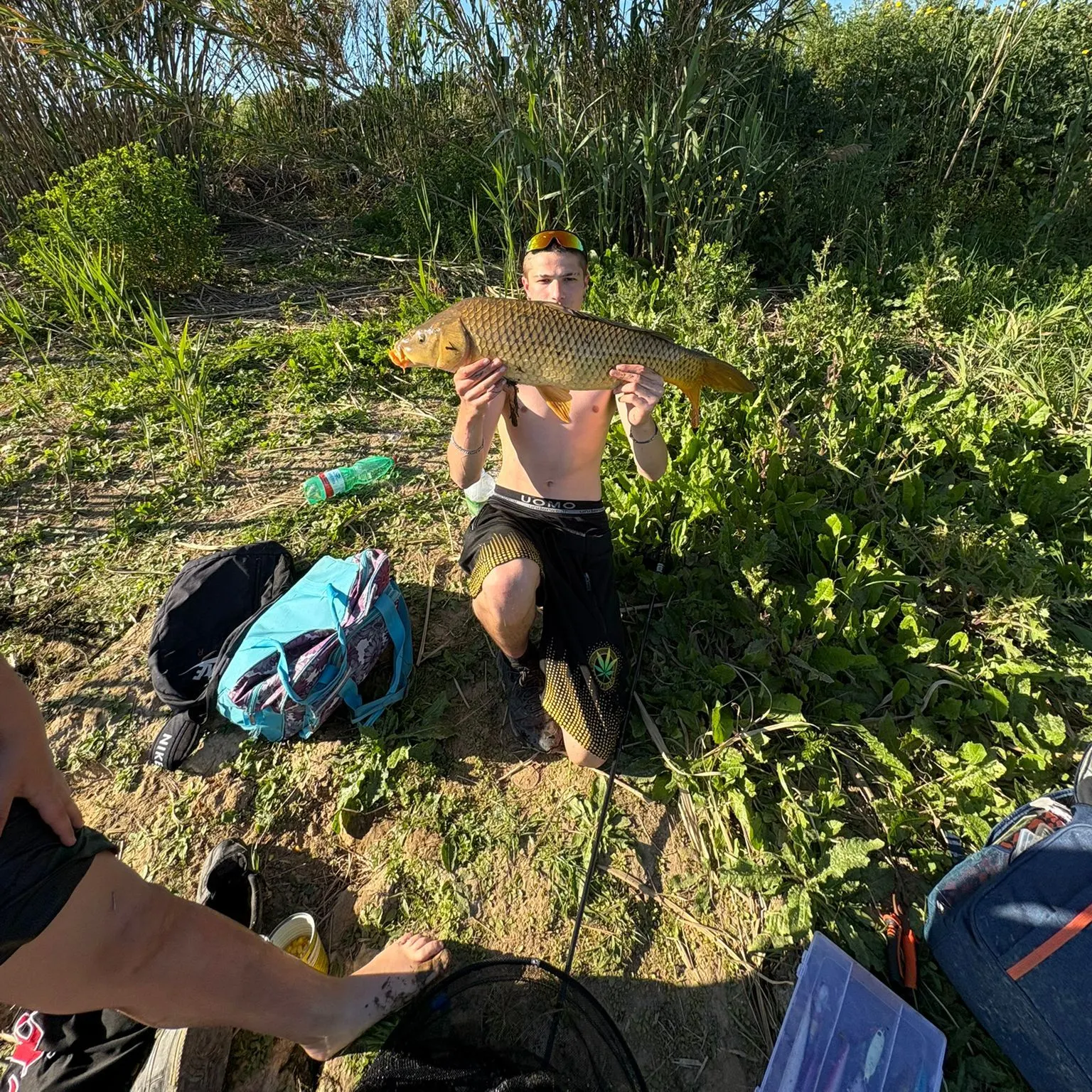 Common carp caught on Fishbrain