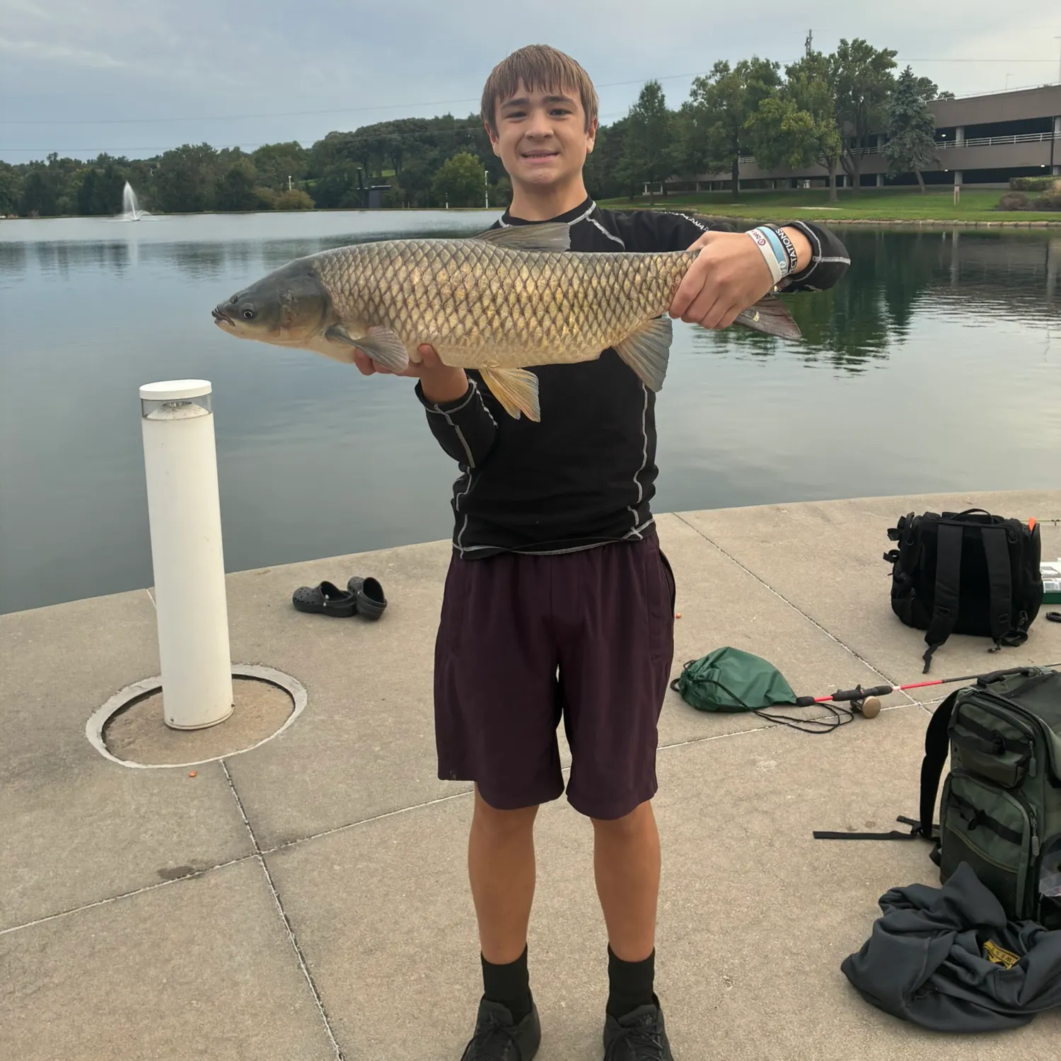 Grass carp caught on Fishbrain