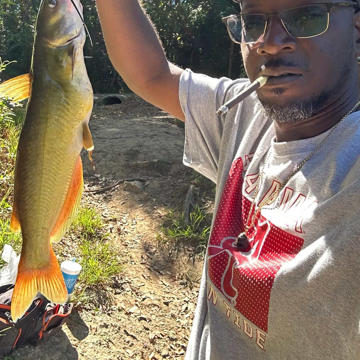 Channel catfish caught on Fishbrain