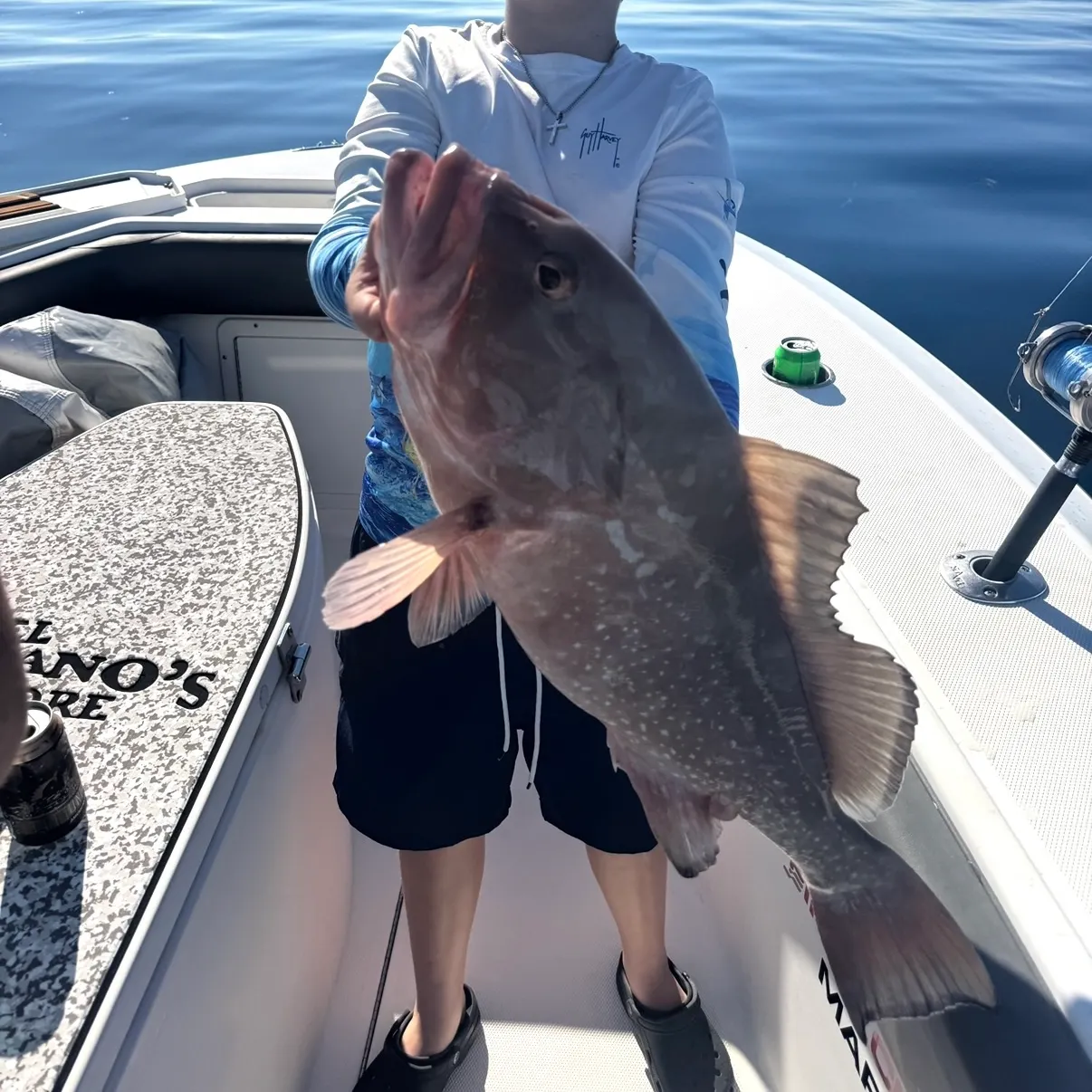 The most recent Red grouper catches on Fishbrain