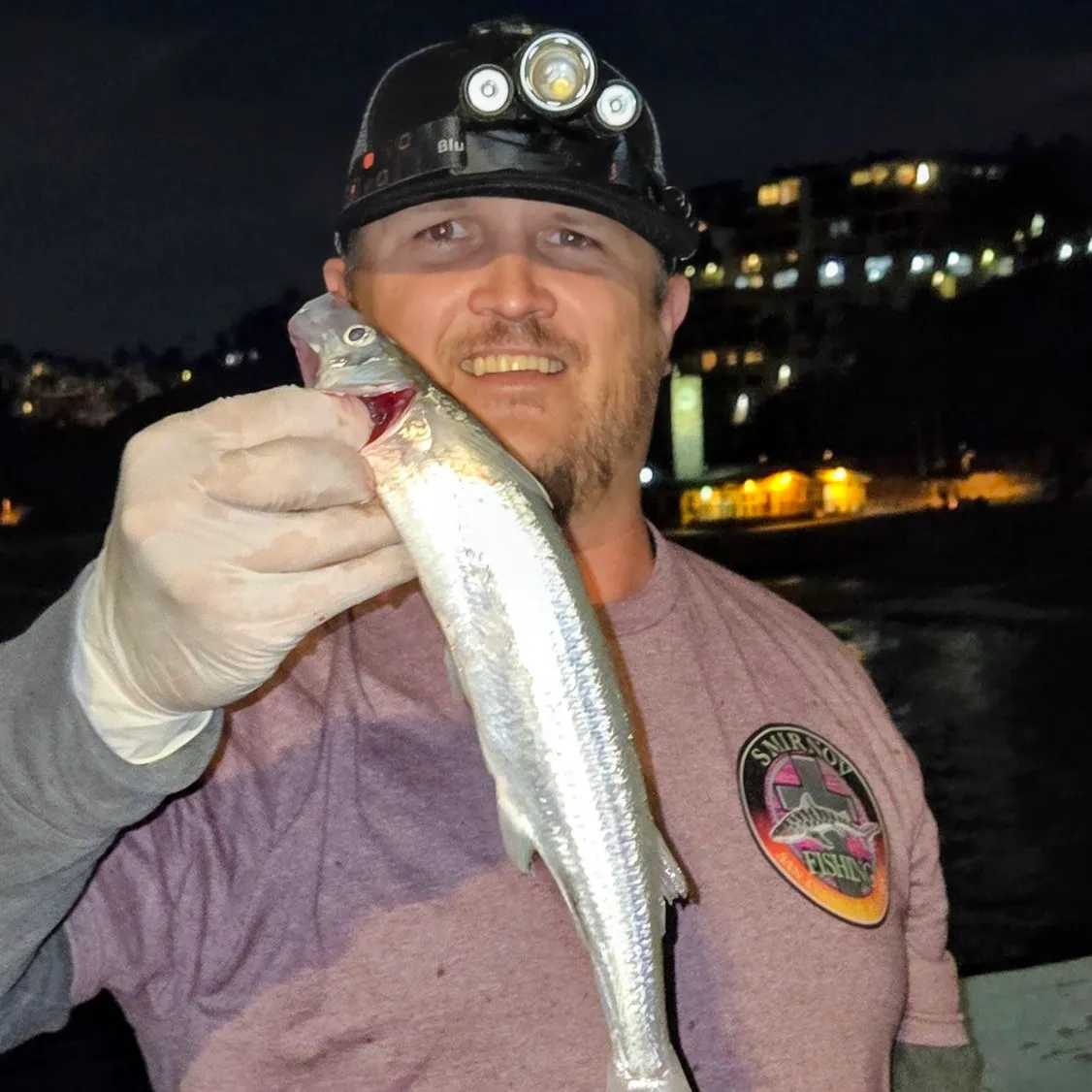 Surf smelt caught on Fishbrain