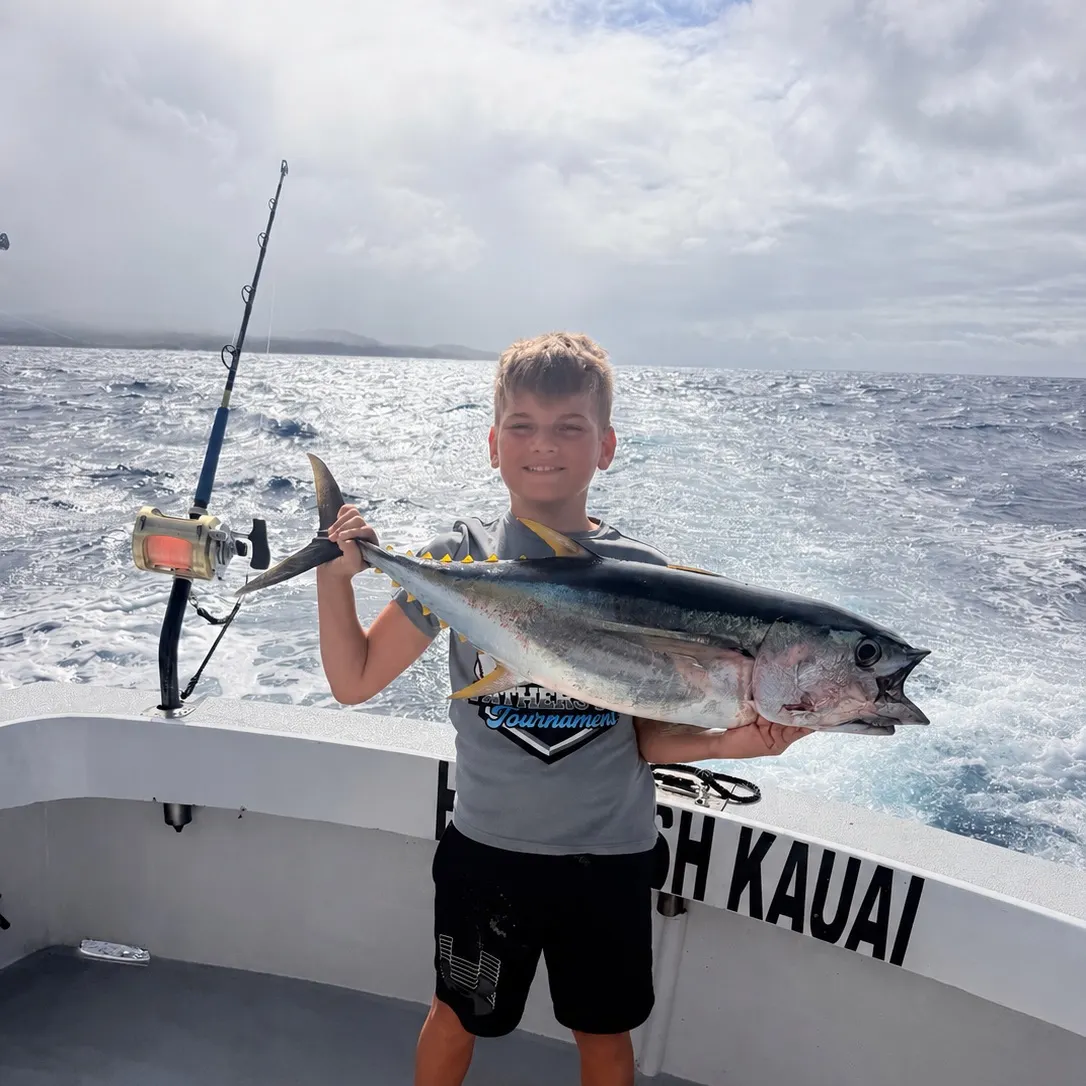 The most recent Yellowfin tuna catches on Fishbrain