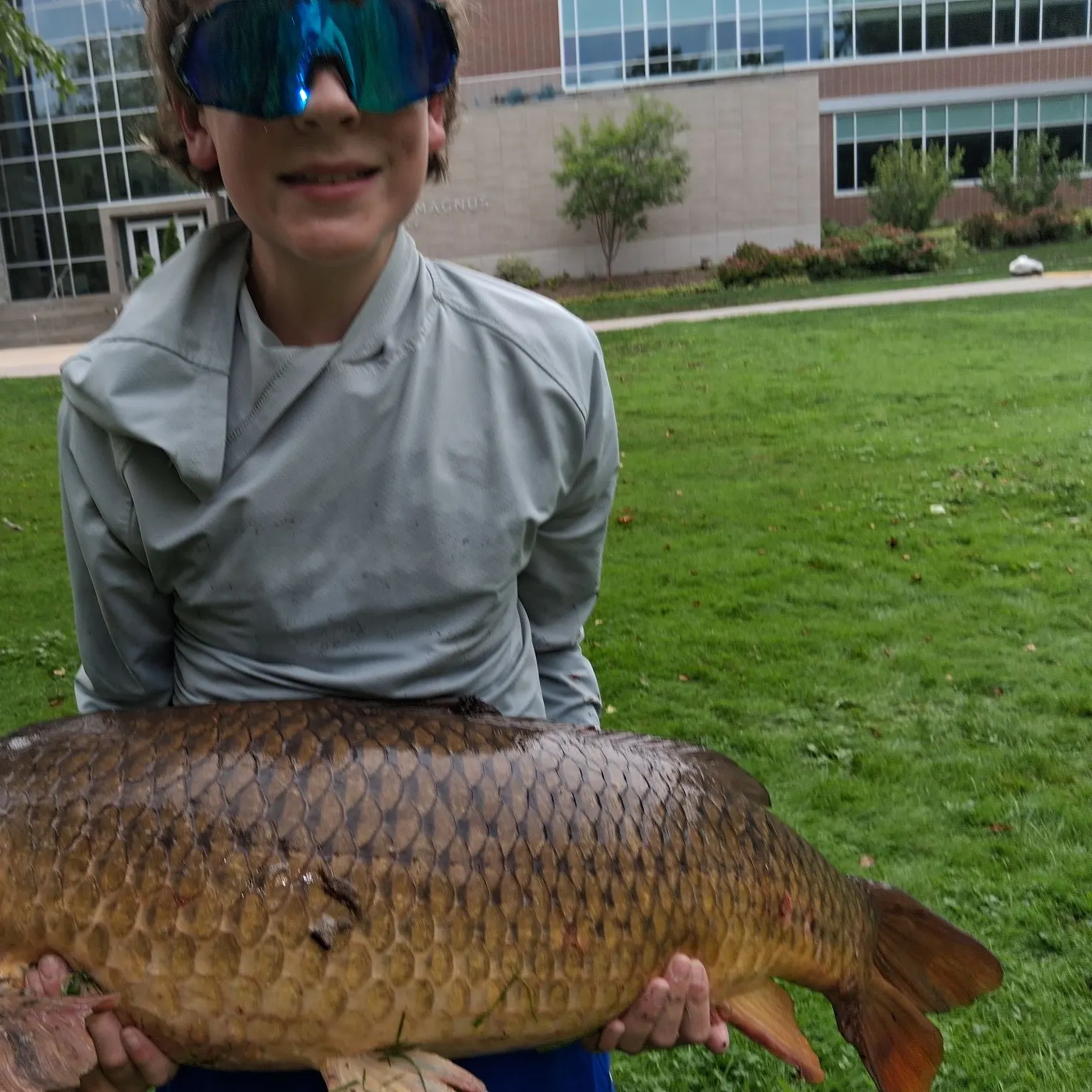 Common carp caught on Fishbrain