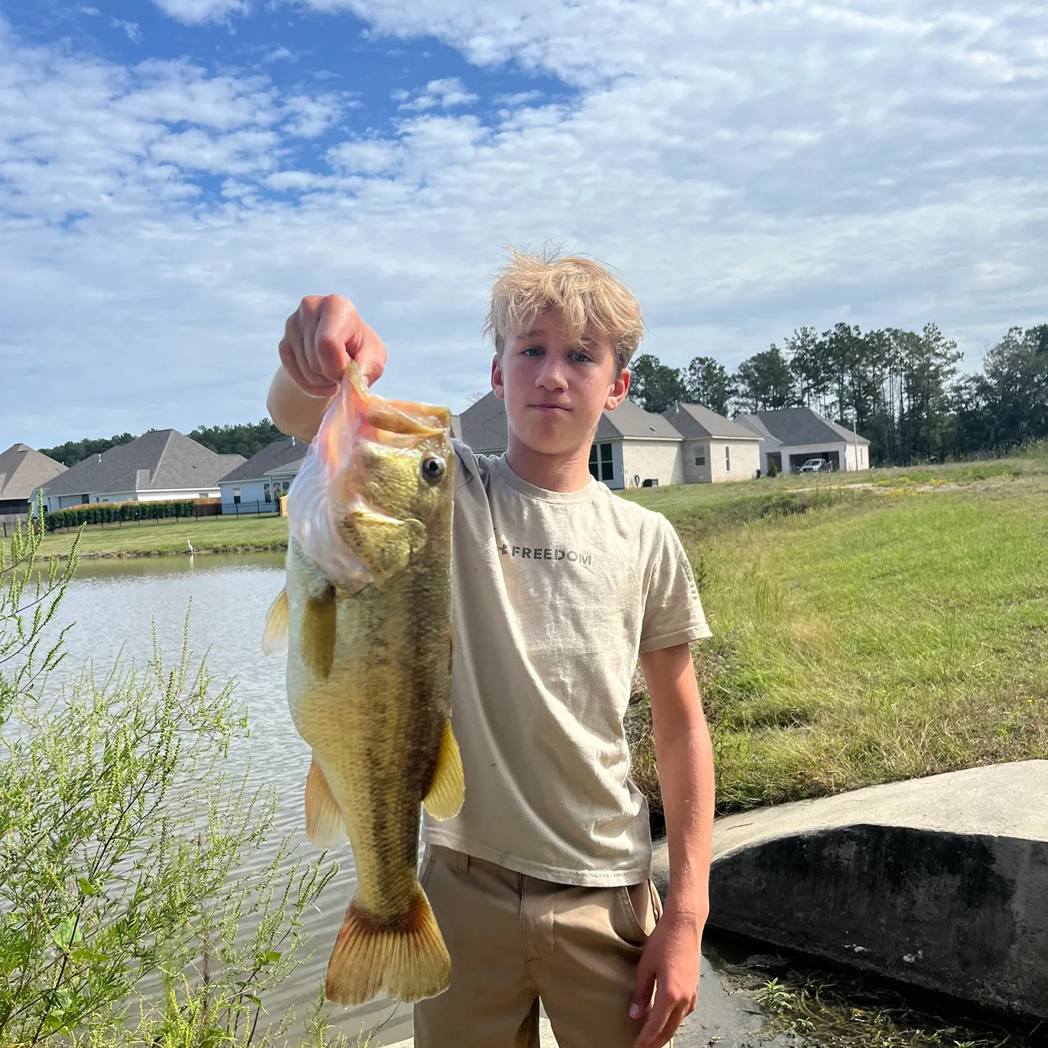 The most recent Largemouth bass catches on Fishbrain