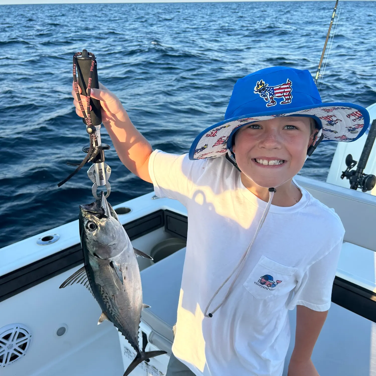 The most recent Little tunny catches on Fishbrain