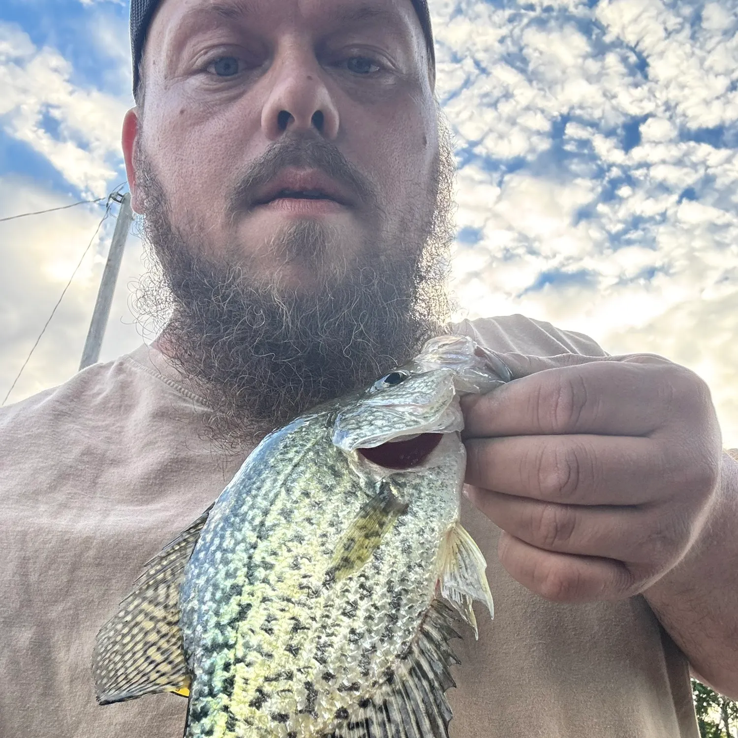 Black crappie caught on Fishbrain