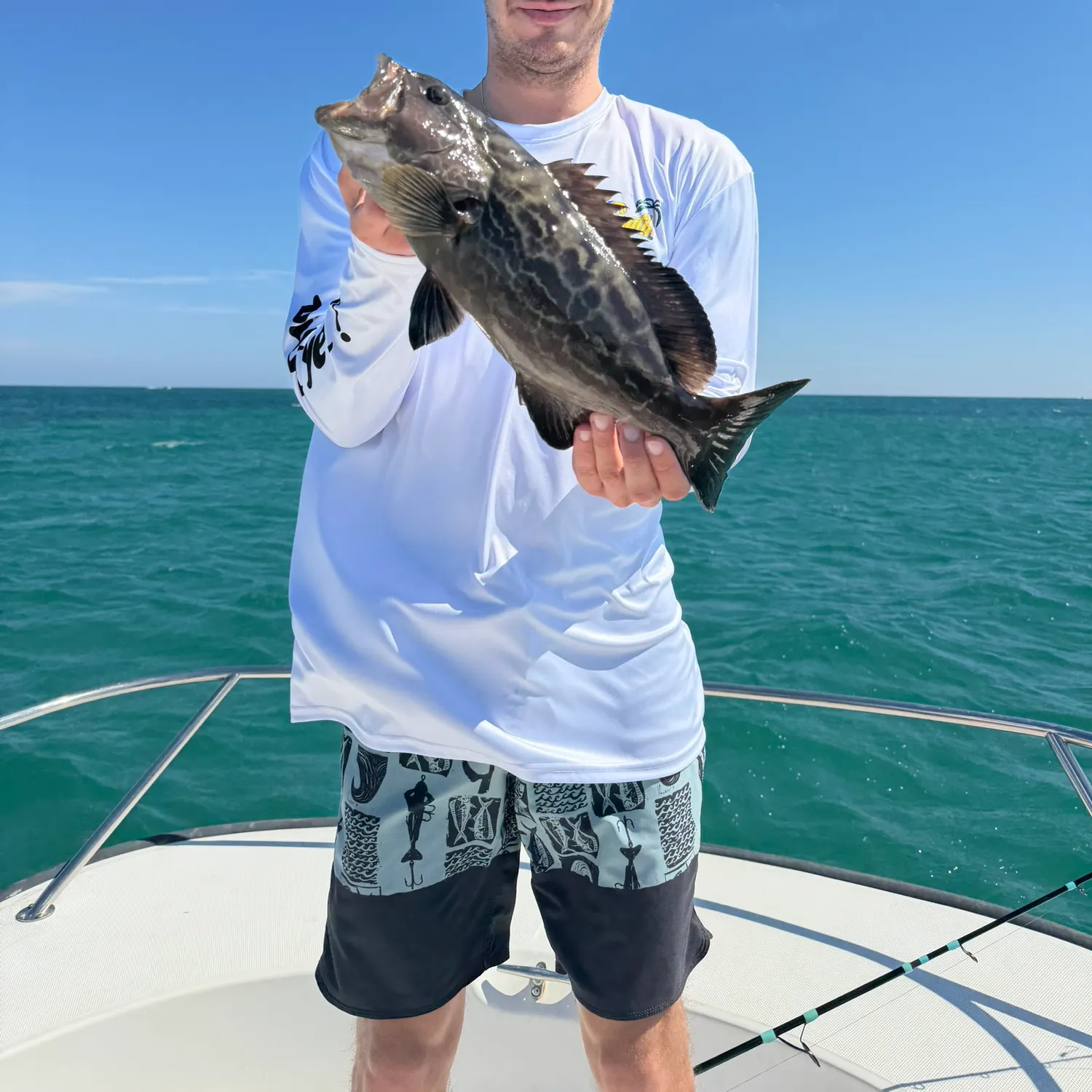 The most recent Black grouper catches on Fishbrain
