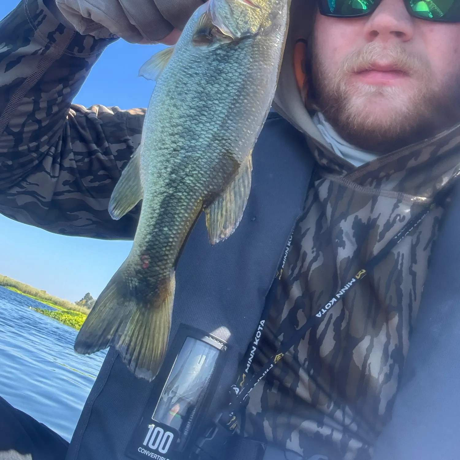 Largemouth bass caught on Fishbrain