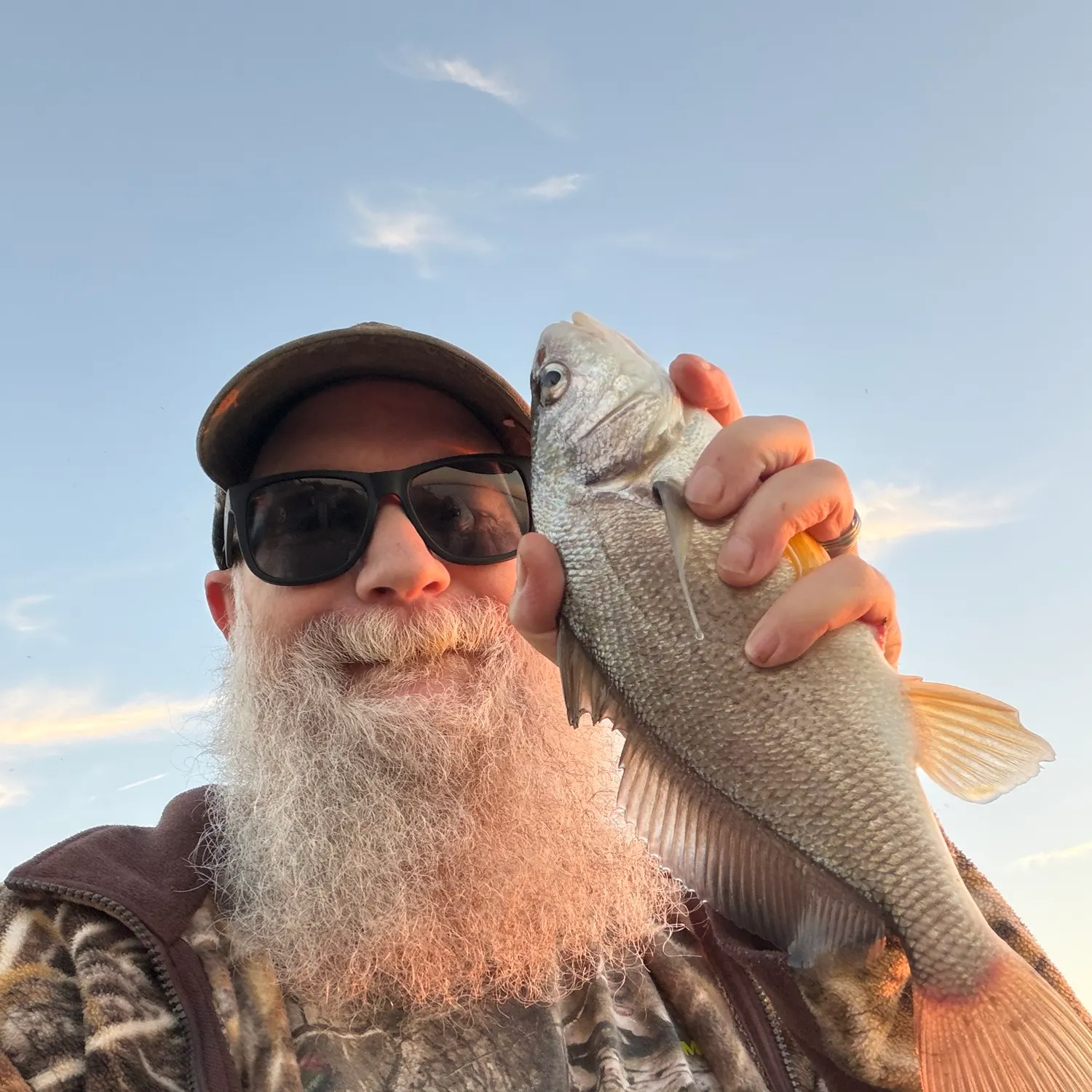 Freshwater drum caught on Fishbrain