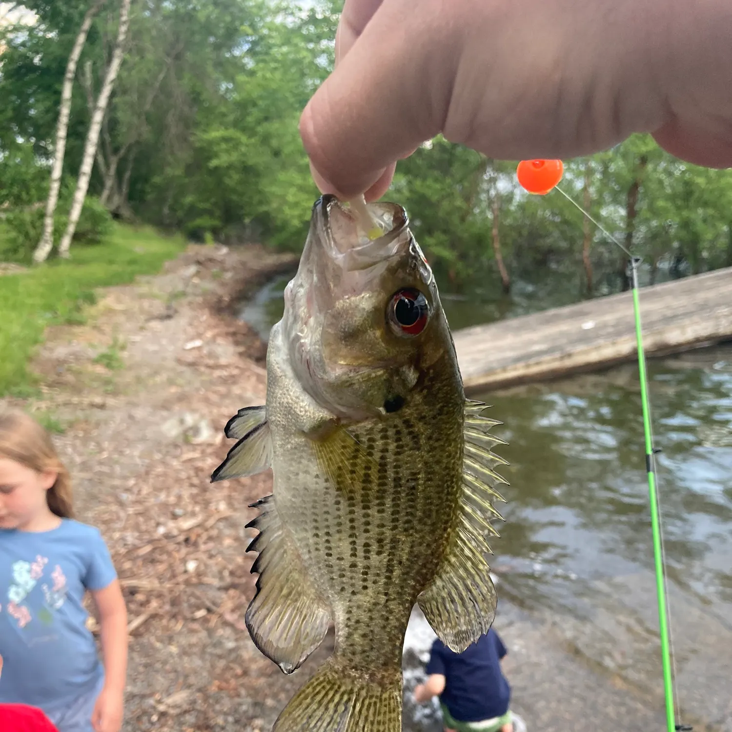 catch