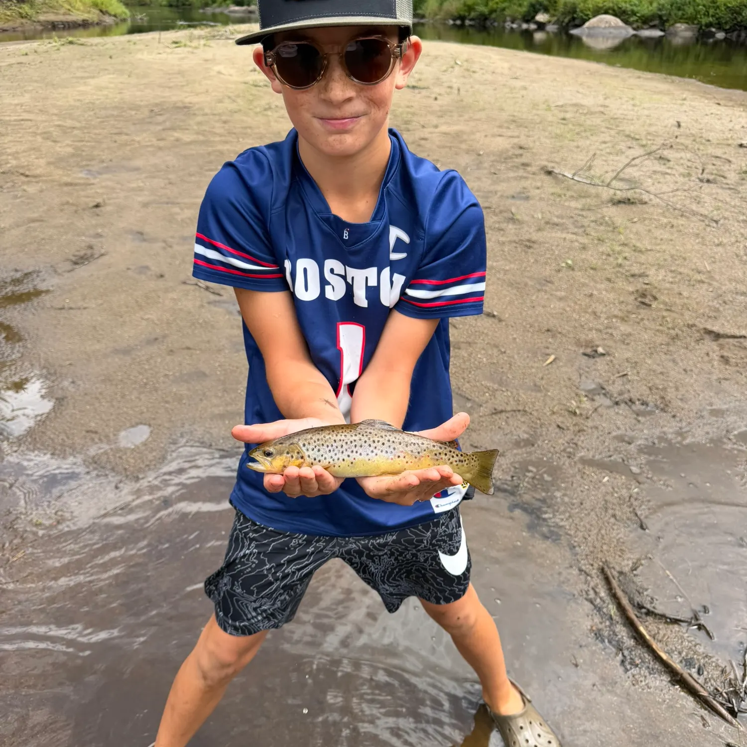 Brown trout caught on Fishbrain