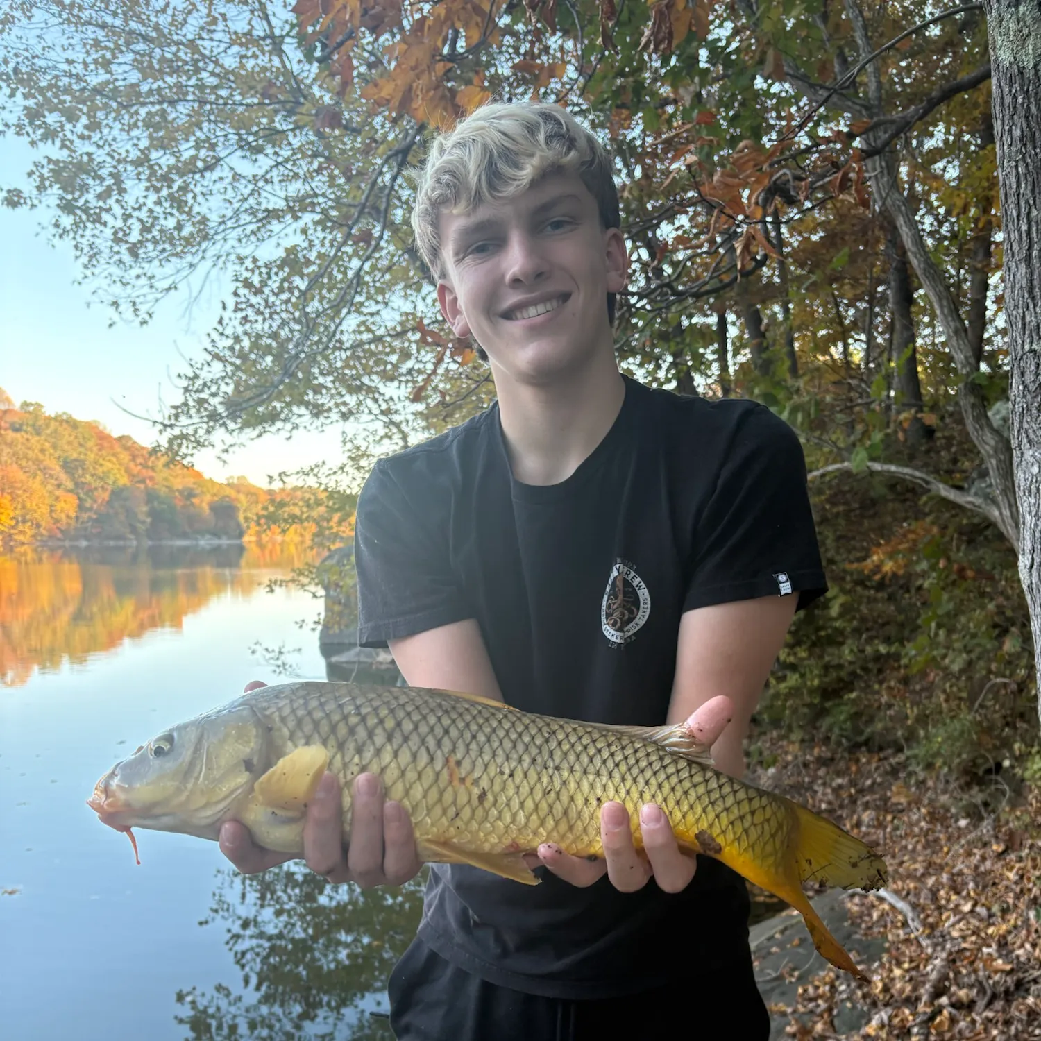Common carp caught on Fishbrain
