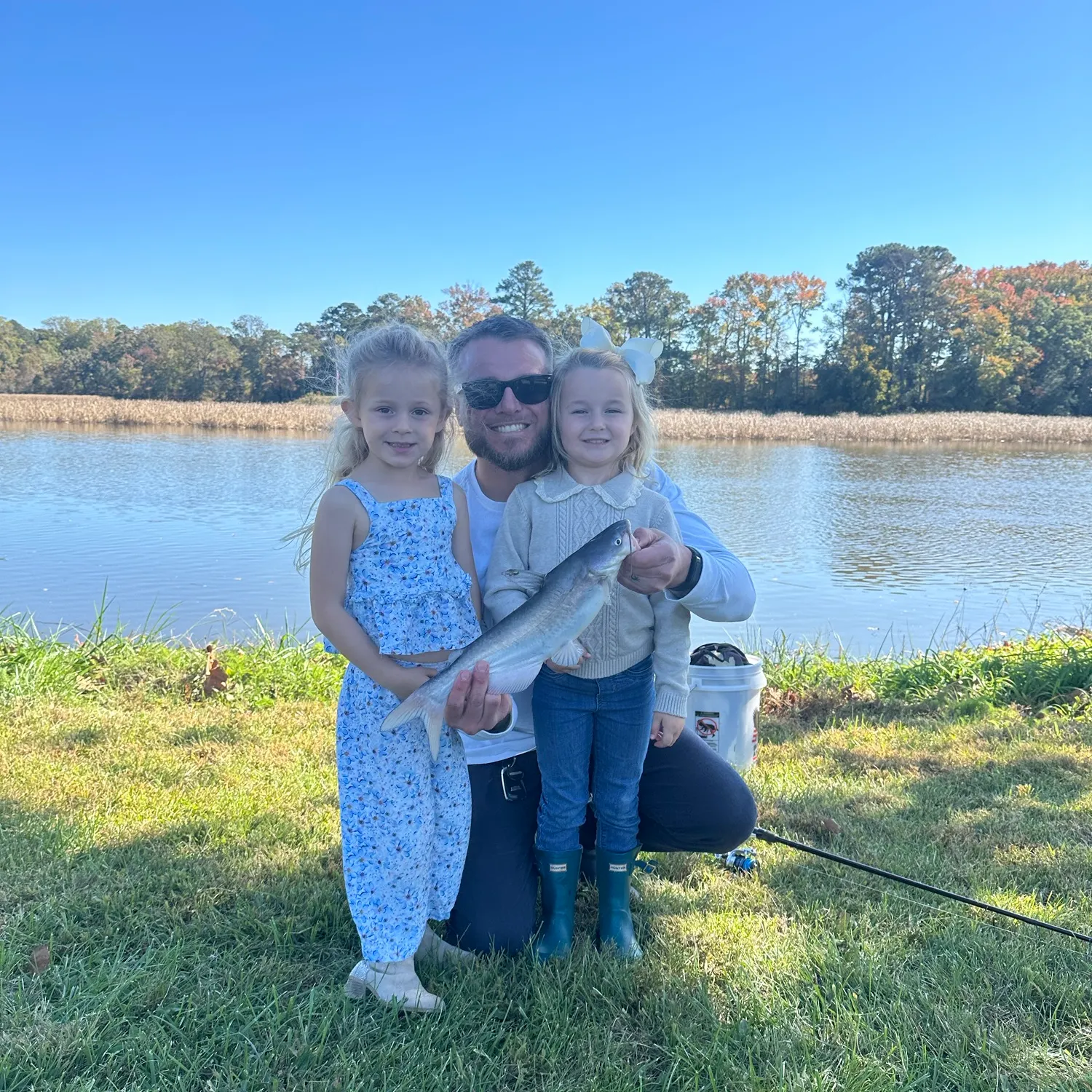 Blue catfish caught on Fishbrain
