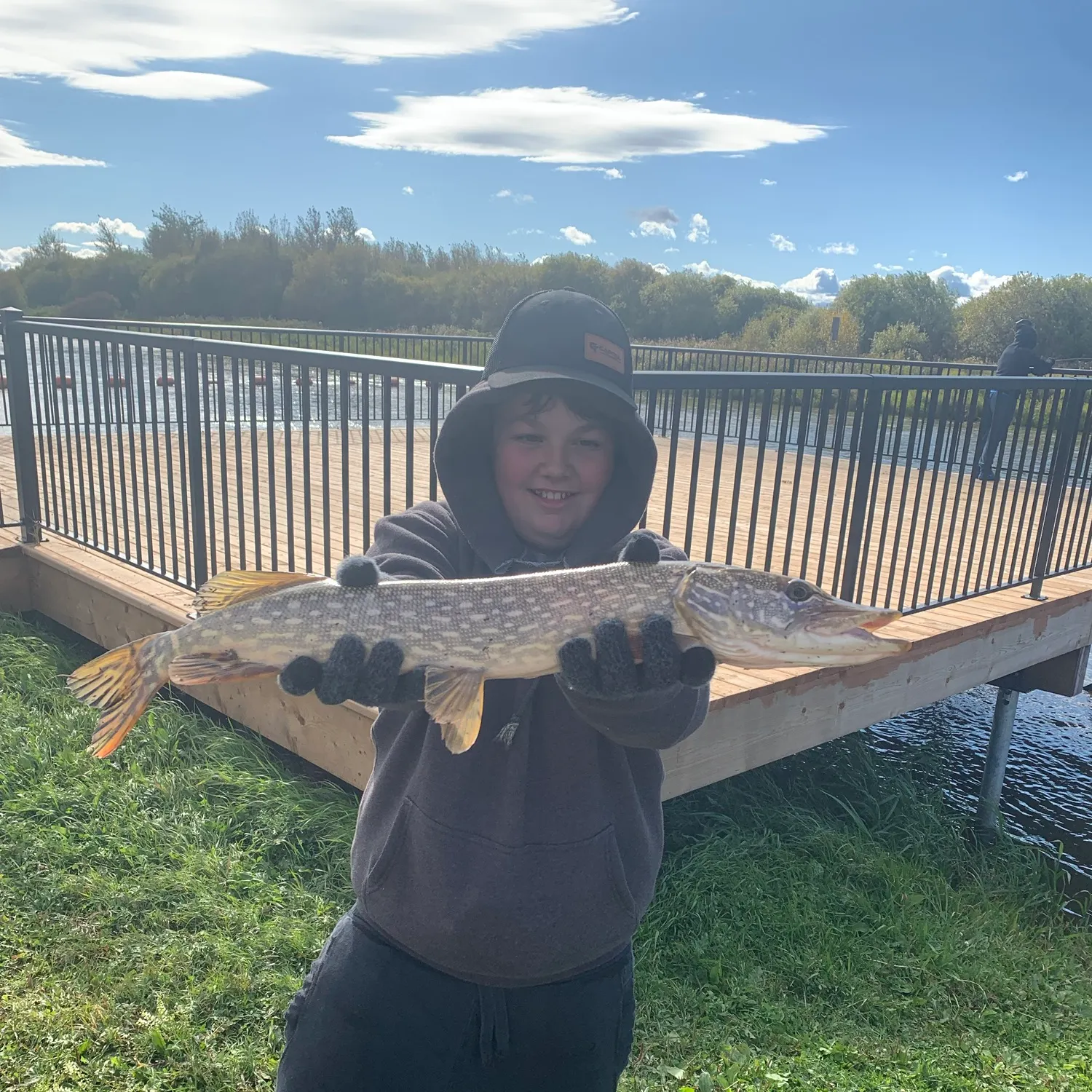Northern pike caught on Fishbrain