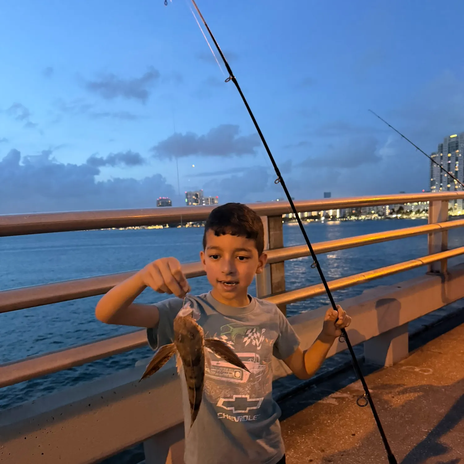 The most recent Northern searobin catches on Fishbrain