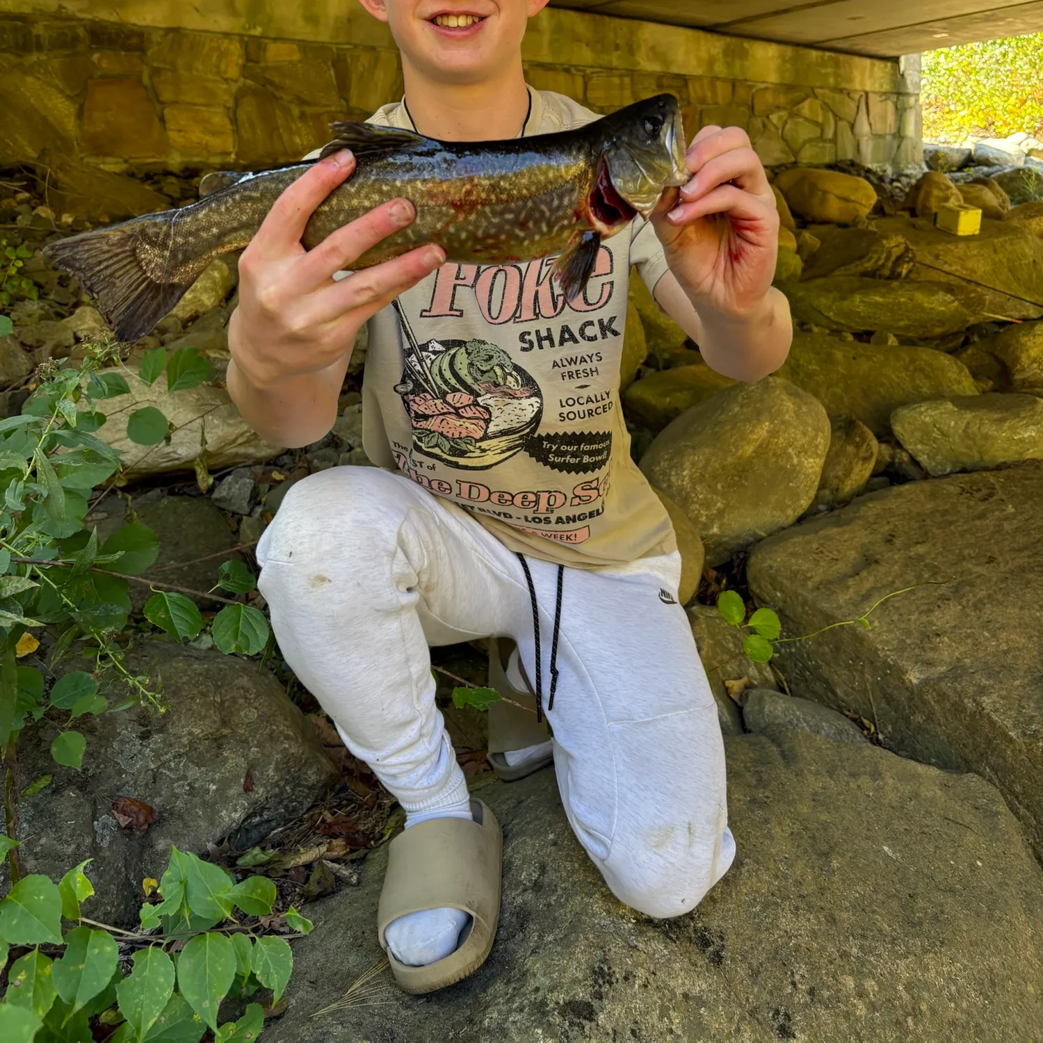 Tiger trout caught on Fishbrain