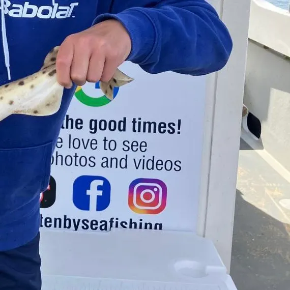 The most recent Nursehound catches on Fishbrain