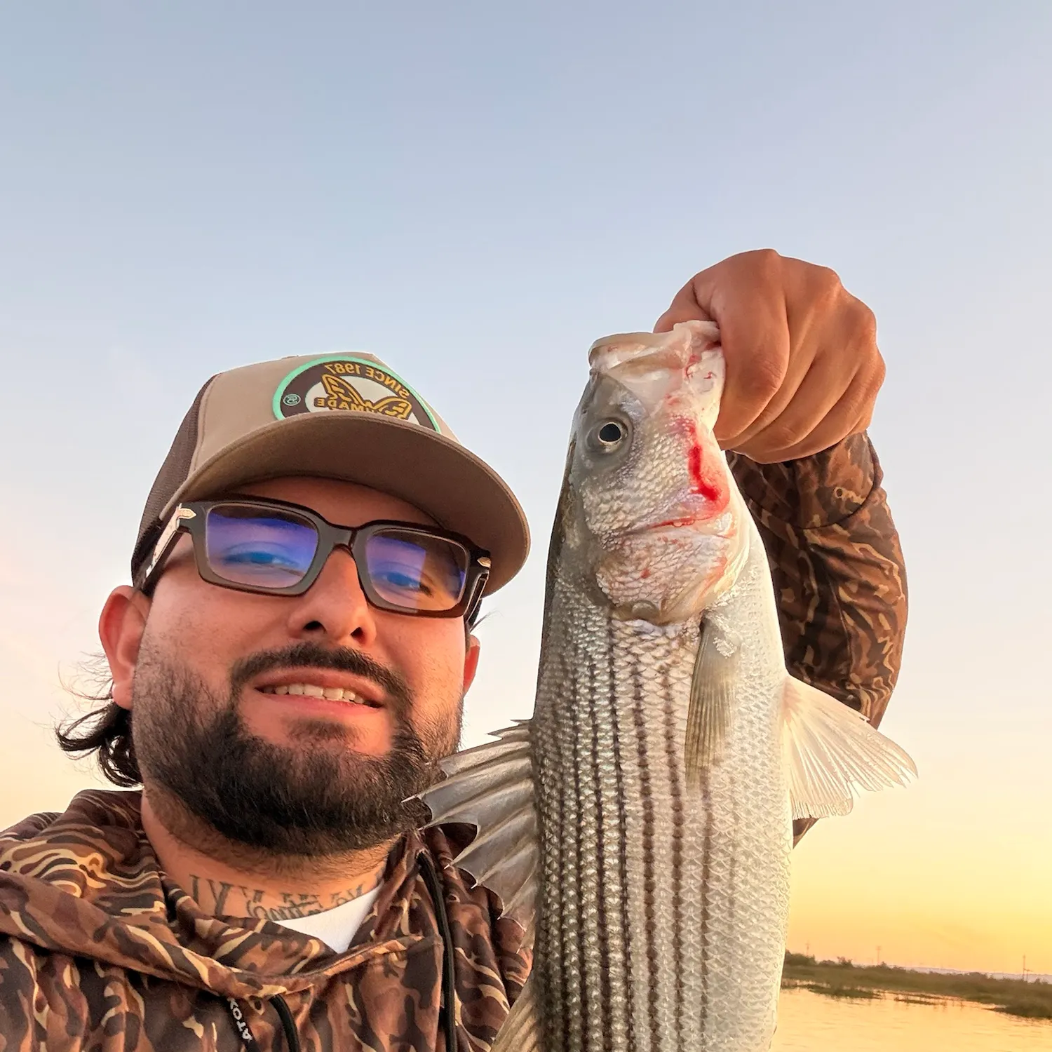 Striped bass caught on Fishbrain
